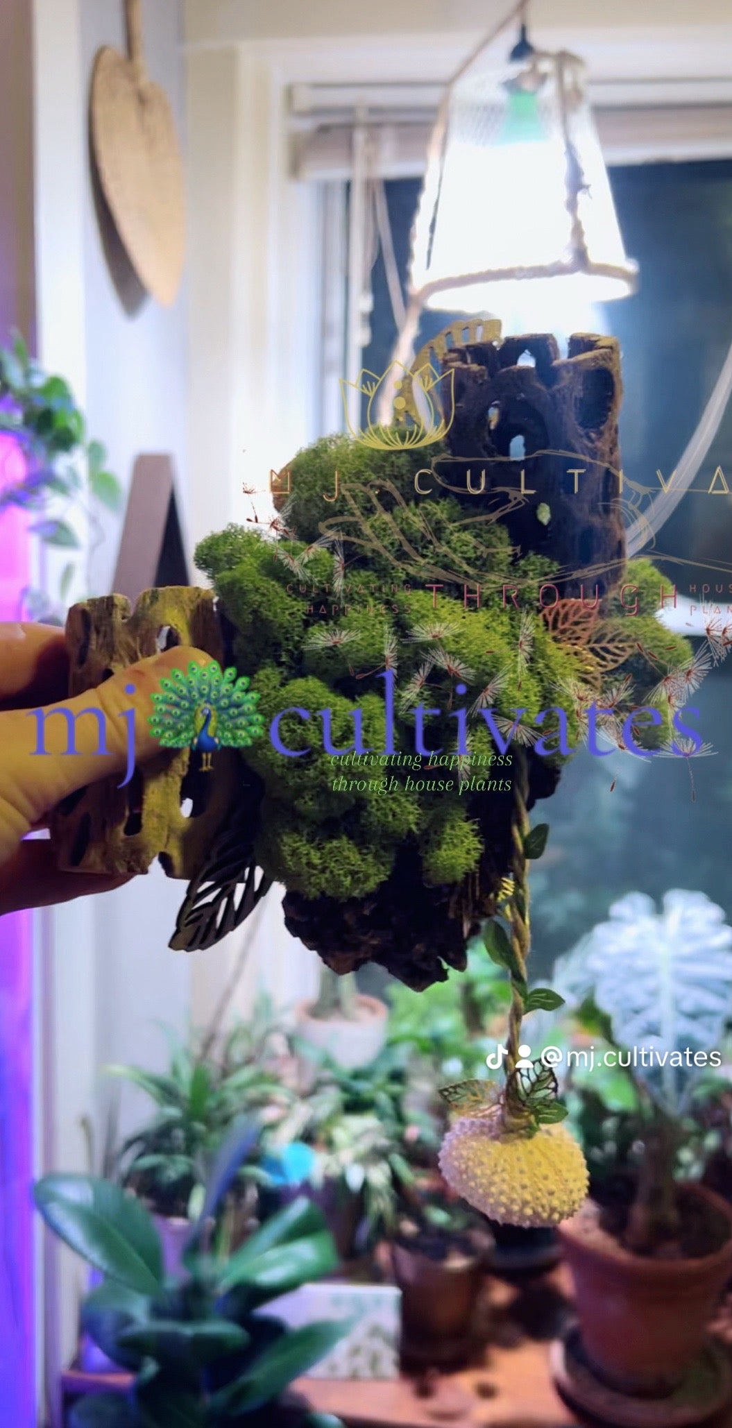 Handmade Living Display | Mountainside Collide
