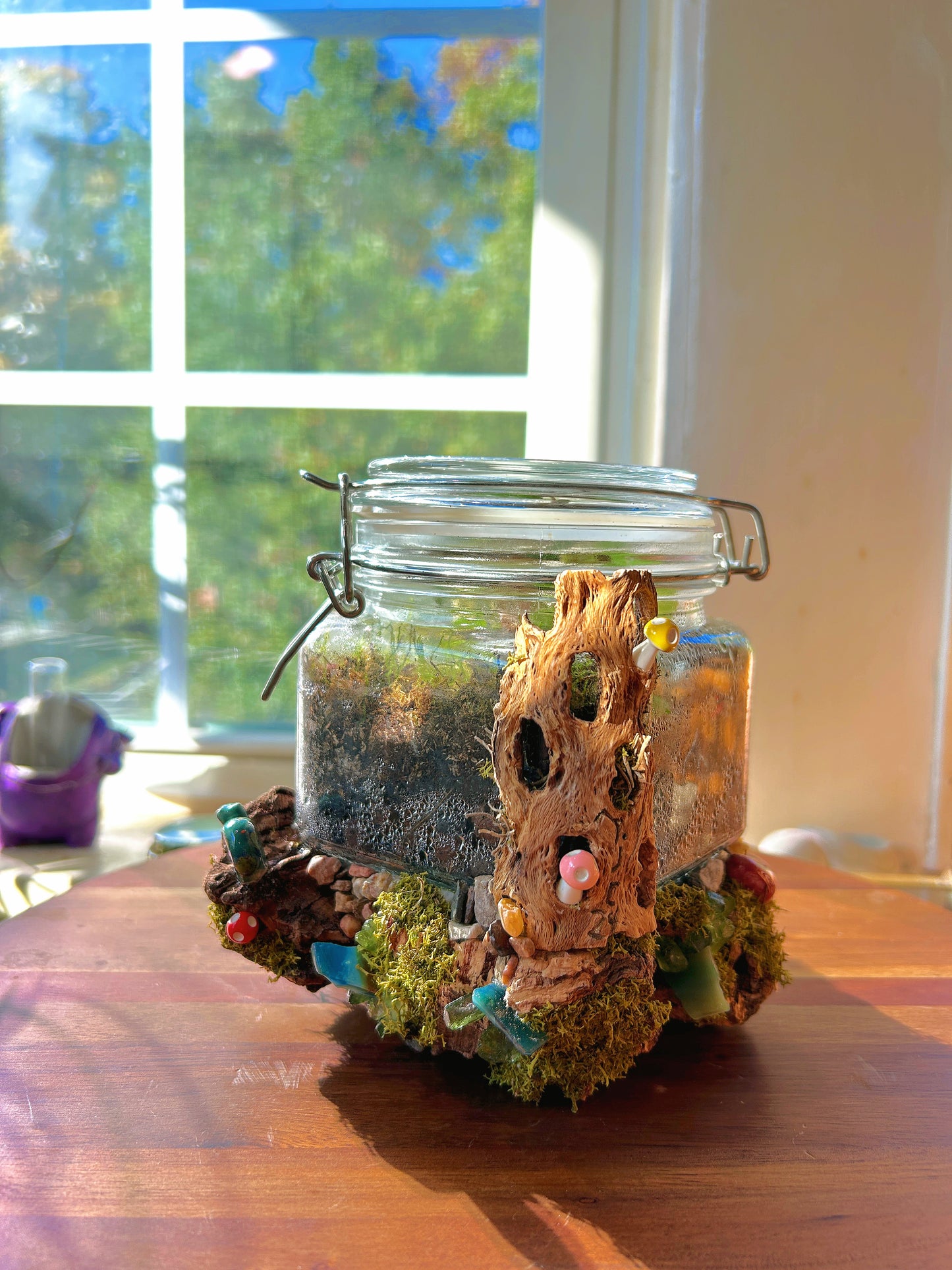 Handmade Closed Terrarium | Lock & Latch Jar | 'Into The Woodland’