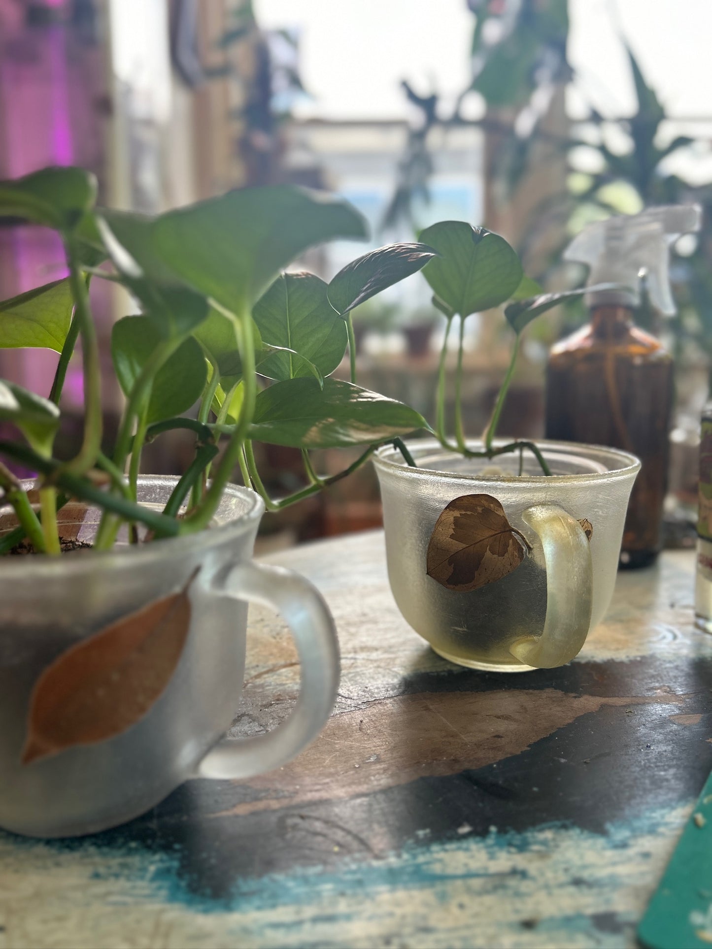 Handmade Pressed Foliage & Flower Mug Planter