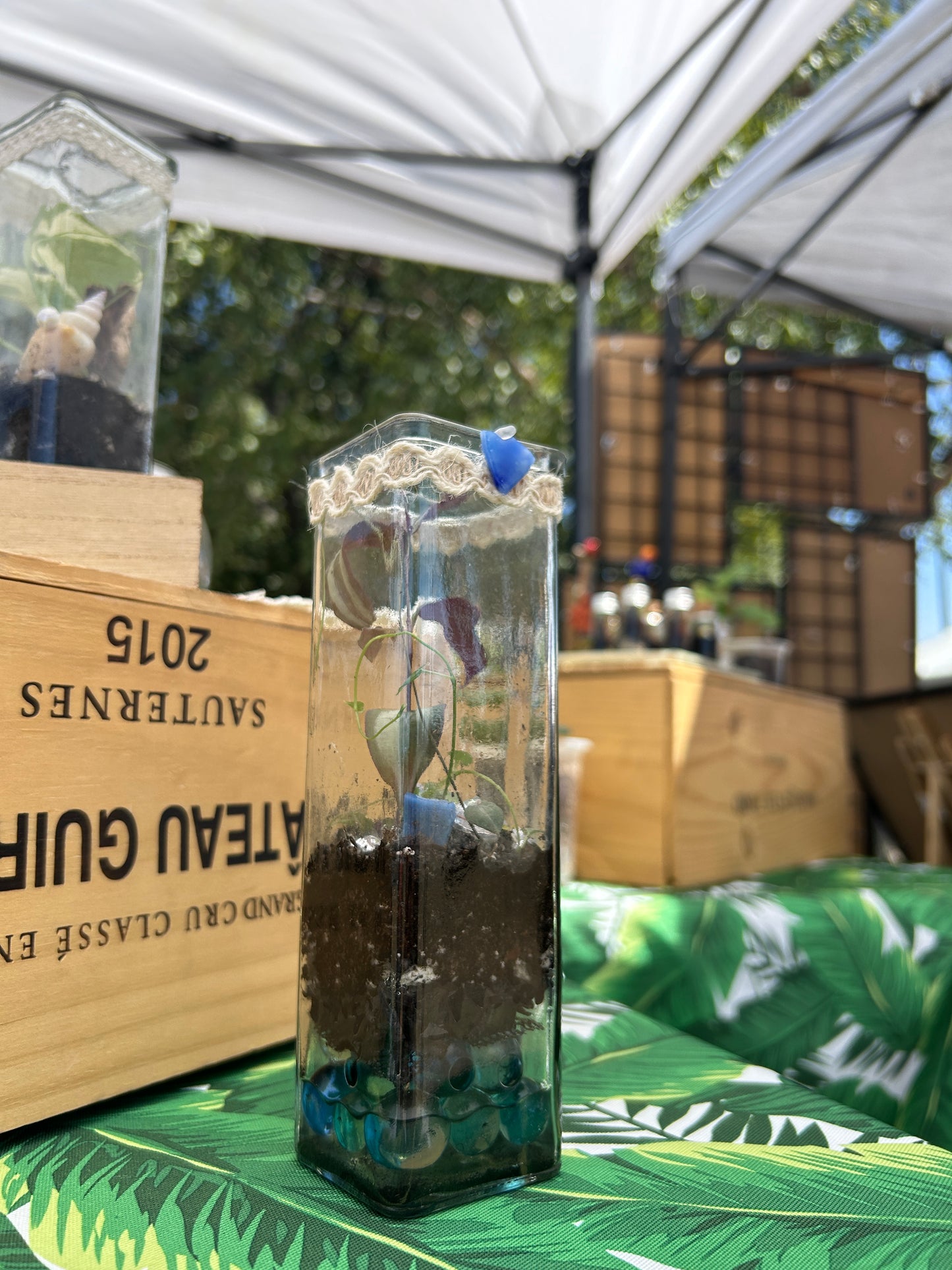 Handmade Slender & Square Open Terrarium | 'Cubed'
