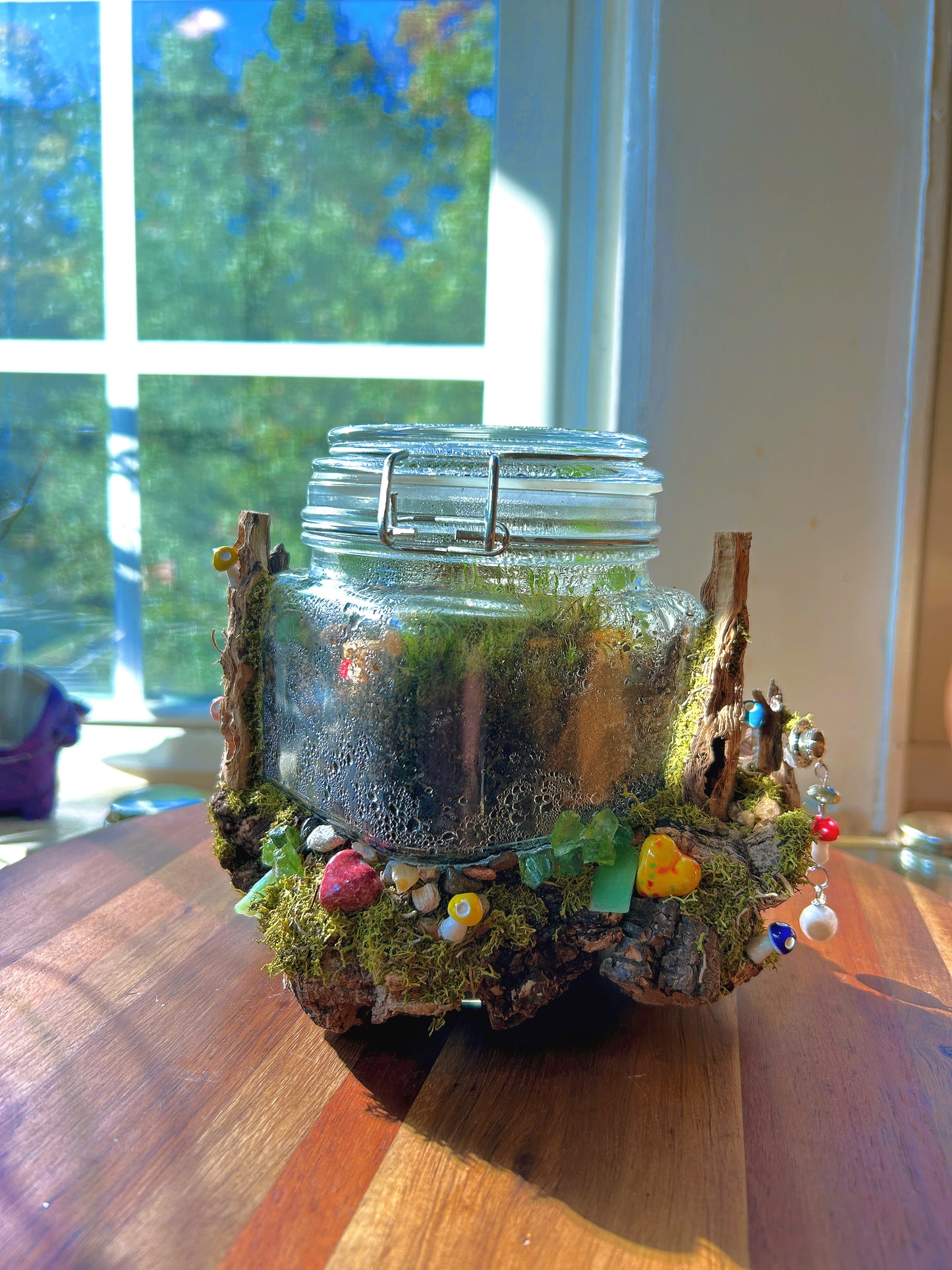 Handmade Closed Terrarium | Lock & Latch Jar | 'Into The Woodland’