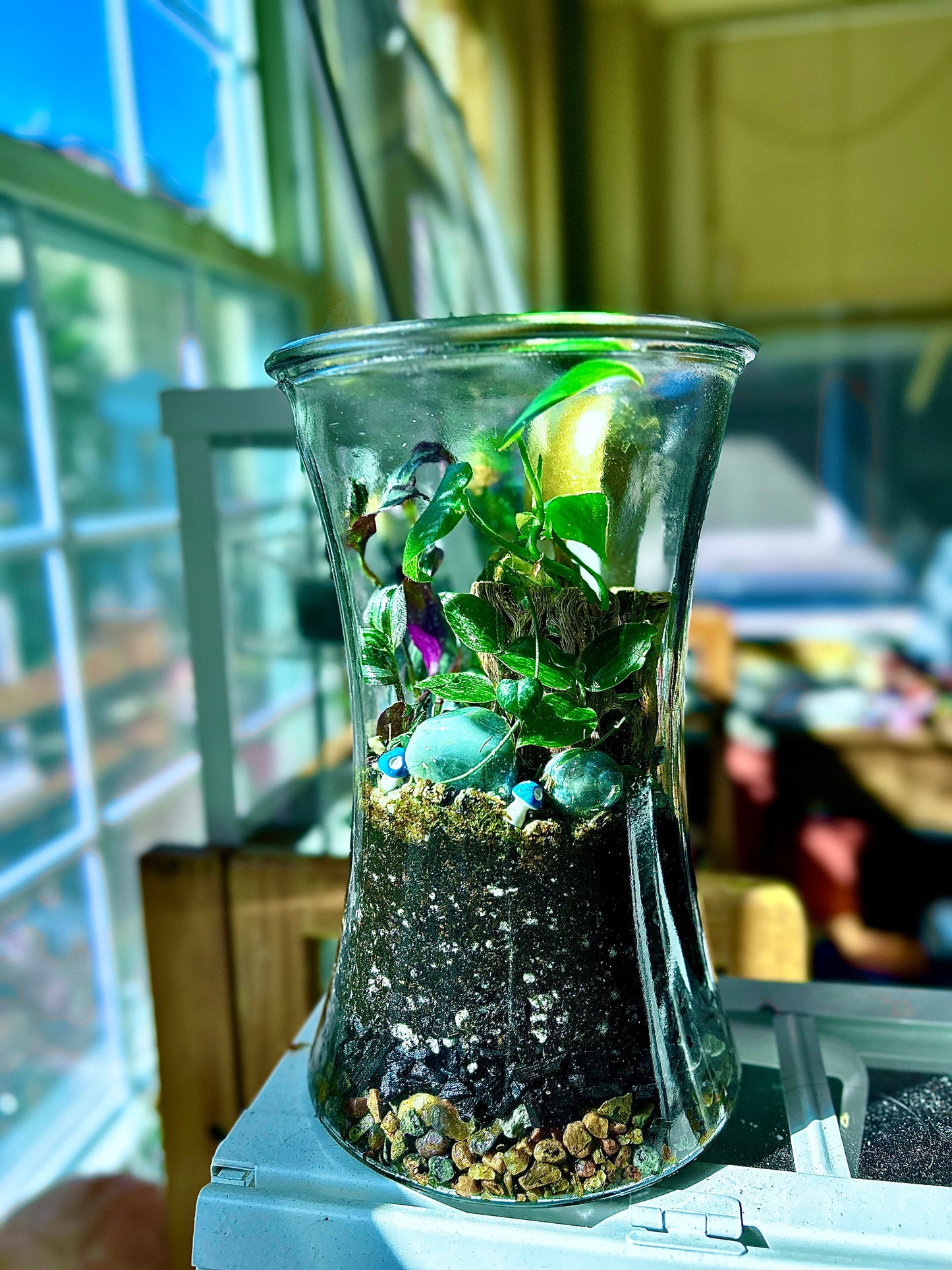 Handmade Open Terrarium | Large Hourglass | 'Buried Golden'