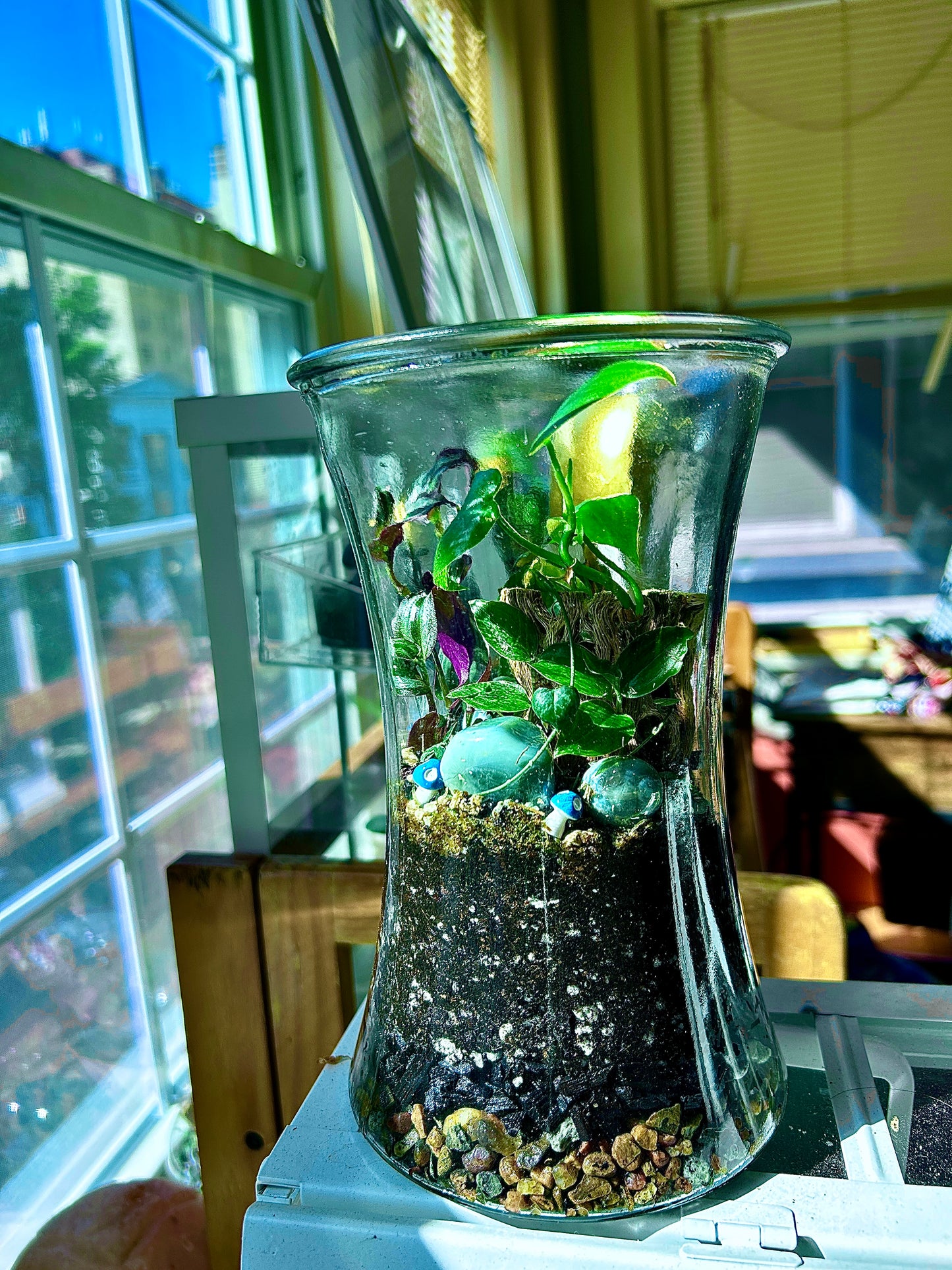 Handmade Open Terrarium | Large Hourglass | 'Buried Golden'