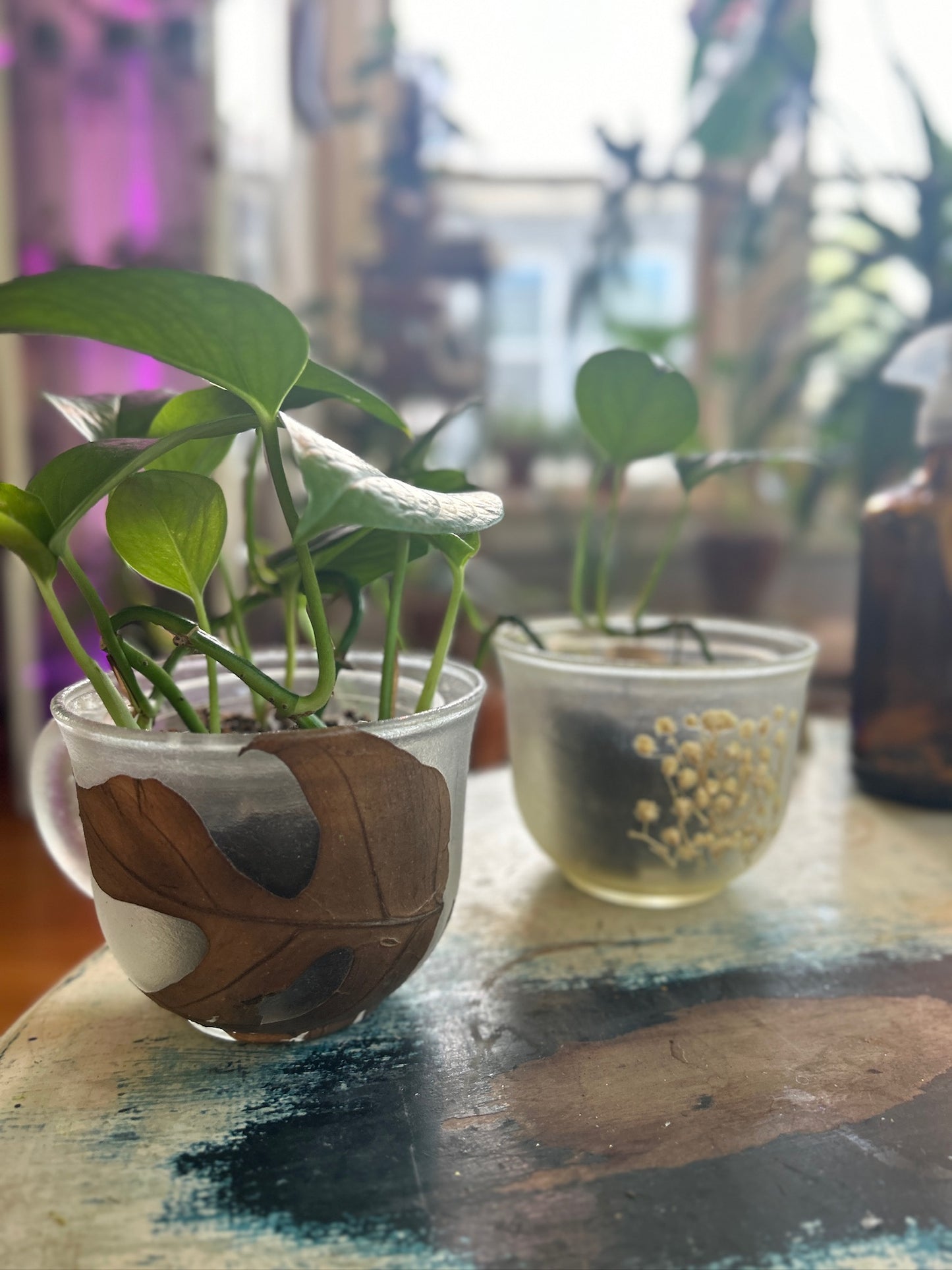 Handmade Pressed Foliage & Flower Mug Planter