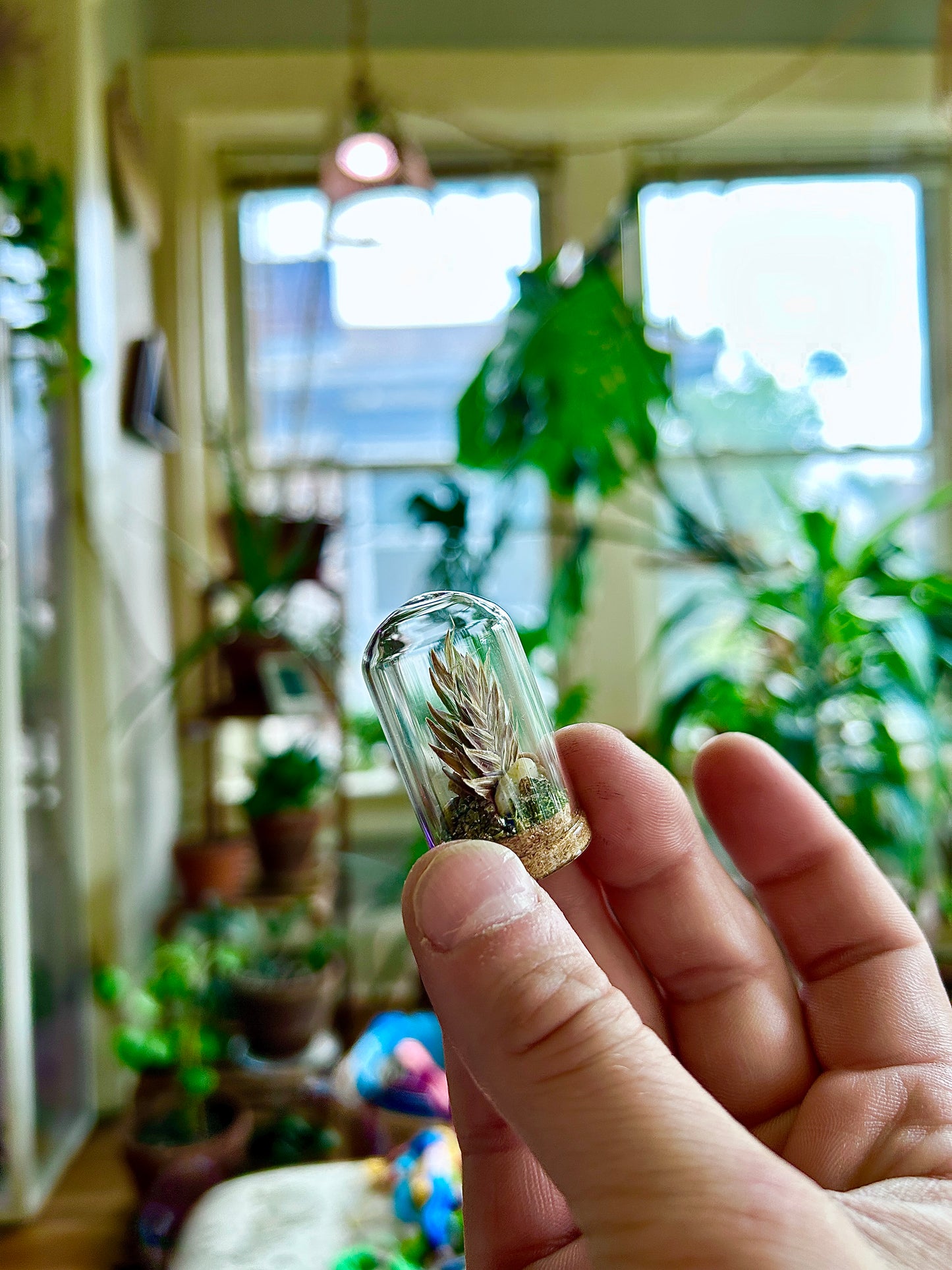 Handmade Dried Foliage & Flower Cloches