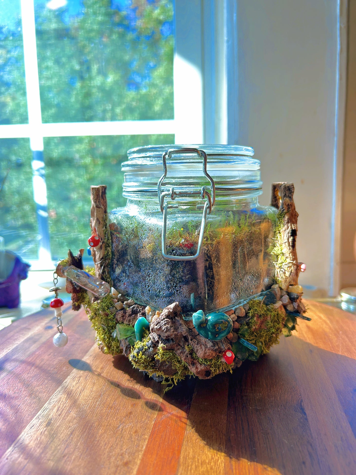 Handmade Closed Terrarium | Lock & Latch Jar | 'Into The Woodland’