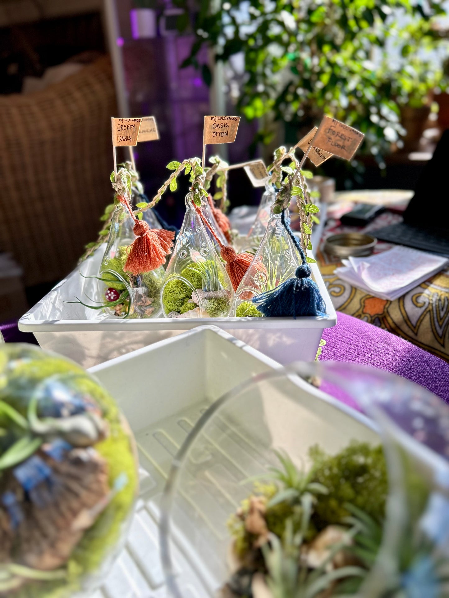 Handmade Teardrop Terrariums