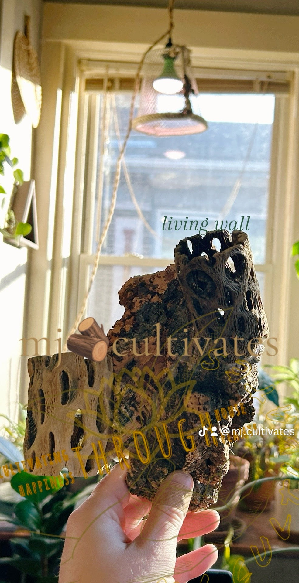Handmade Living Display | Mountainside Collide
