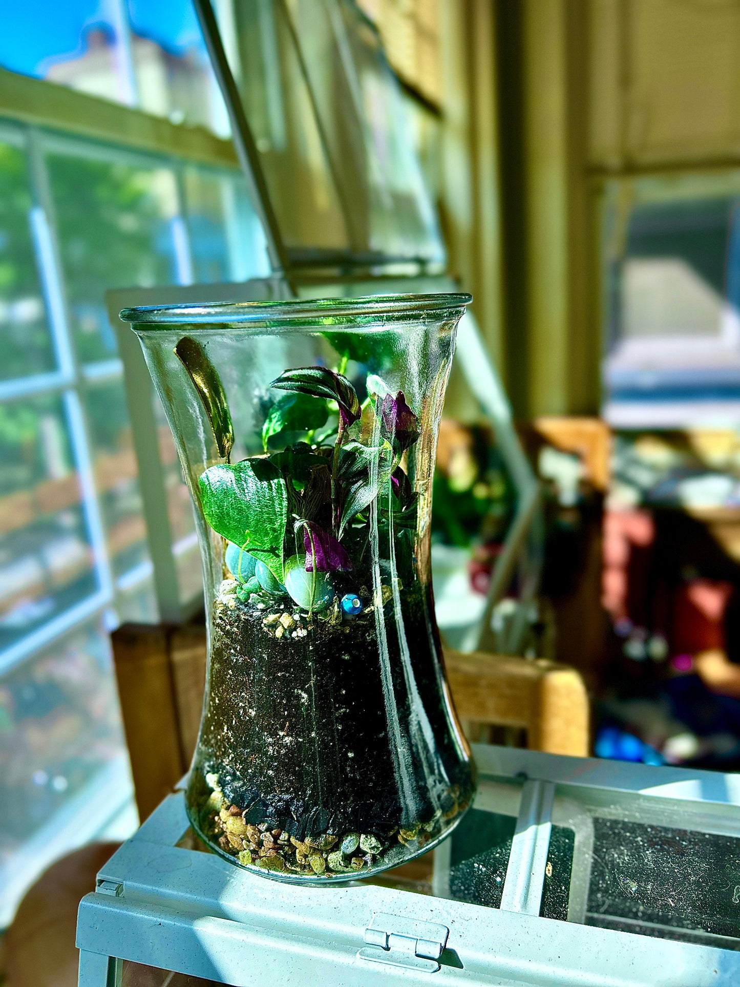 Handmade Open Terrarium | Large Hourglass | 'Buried Golden'