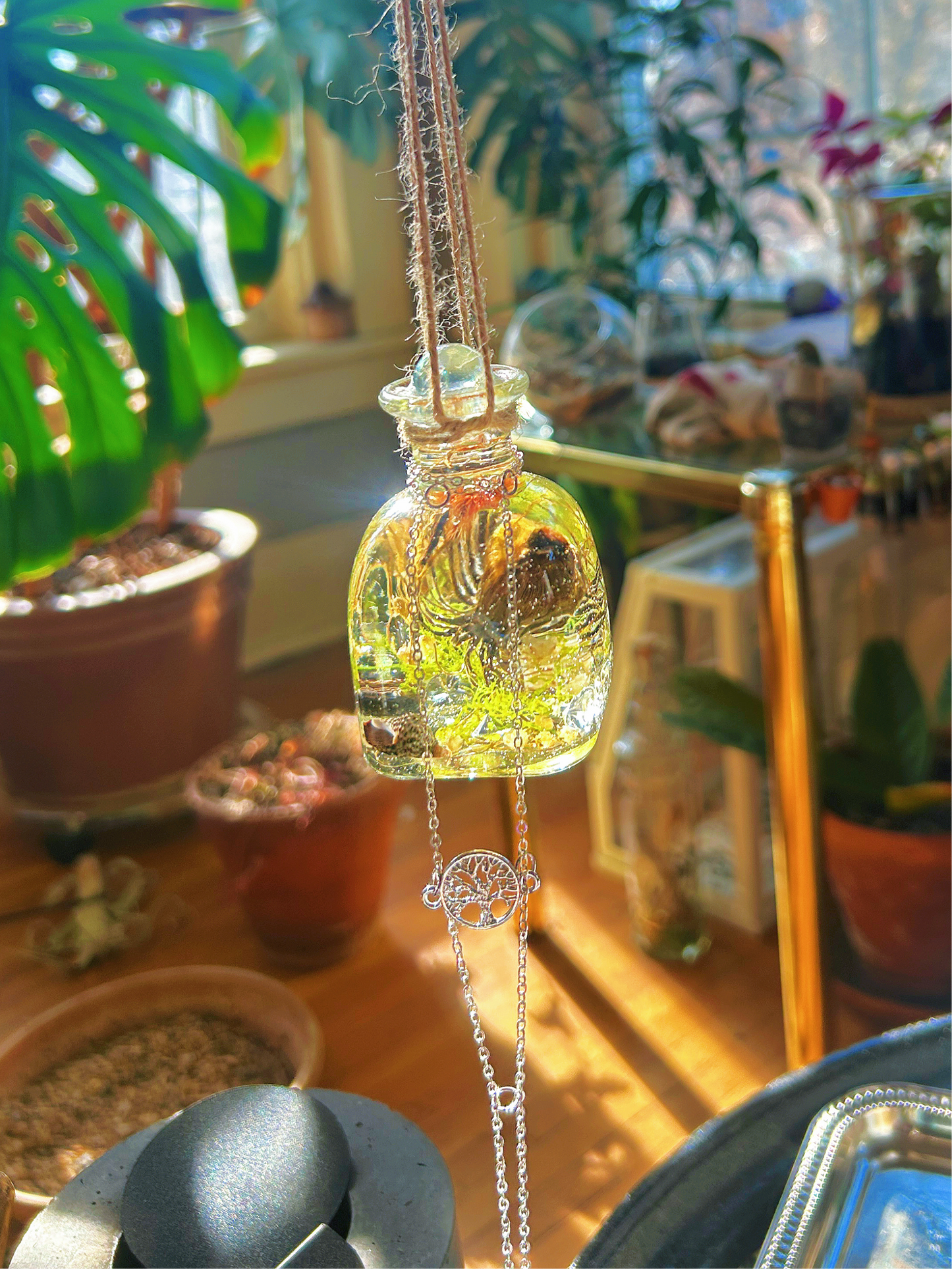 Handmade Hanging Herbarium Sun Catcher | ‘Swallowed Sunlight’