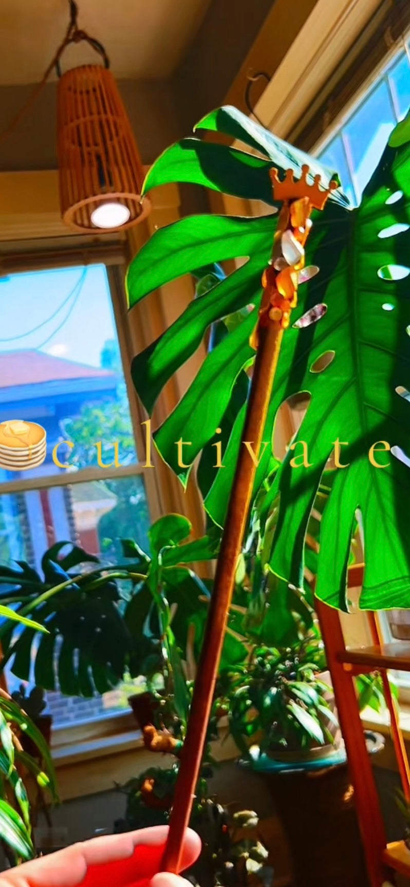 Handmade Jumbo House Plant Water Meter