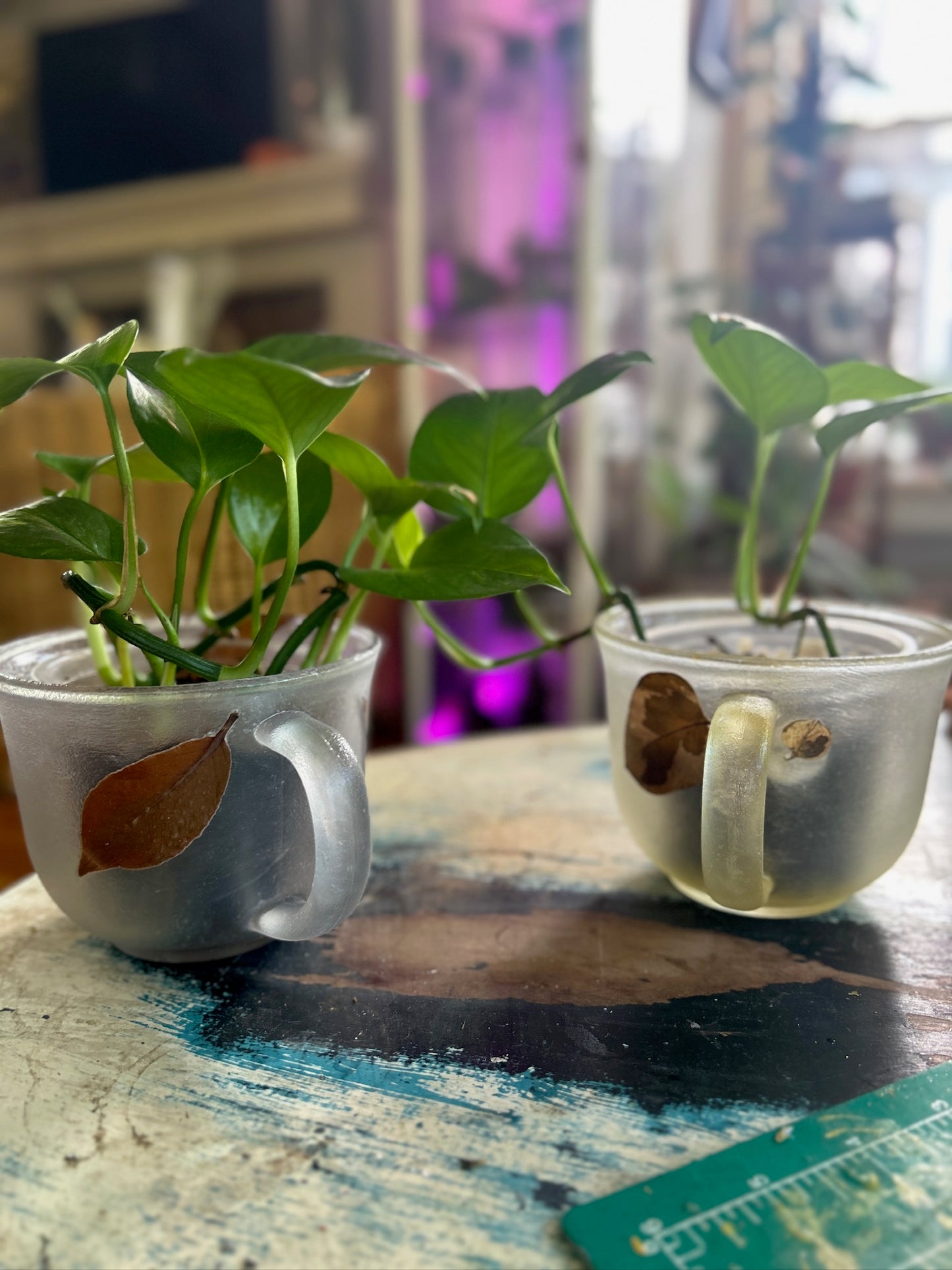Handmade Pressed Foliage & Flower Mug Planter