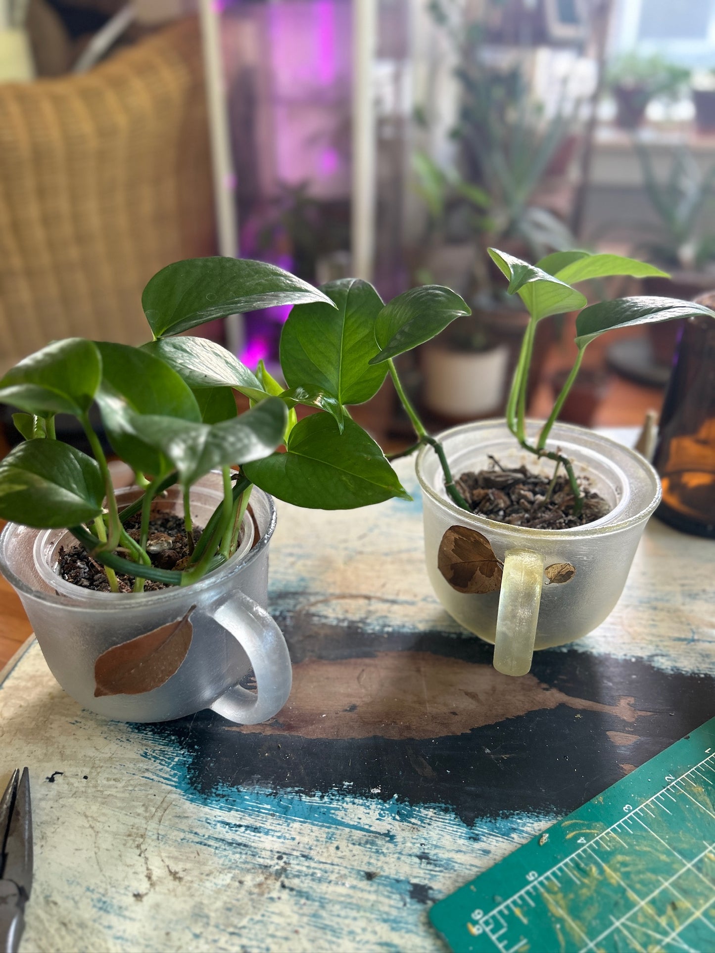 Handmade Pressed Foliage & Flower Mug Planter