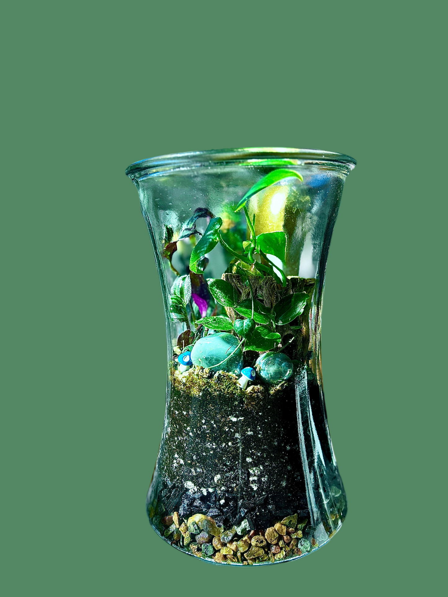 Handmade Open Terrarium | Large Hourglass | 'Buried Golden'