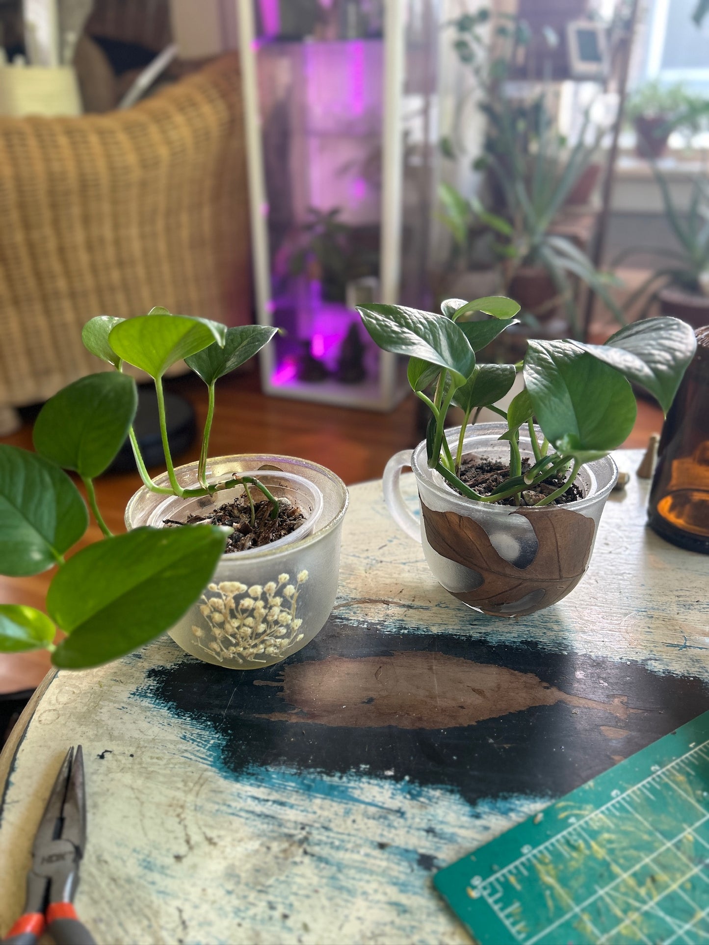 Handmade Pressed Foliage & Flower Mug Planter