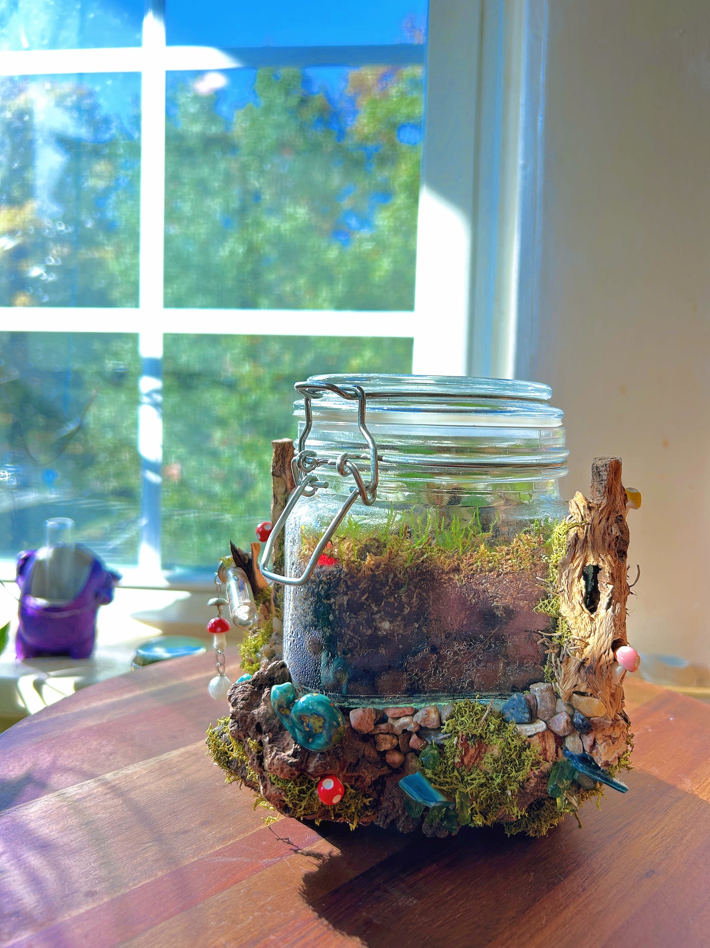 Handmade Closed Terrarium | Lock & Latch Jar | 'Into The Woodland’