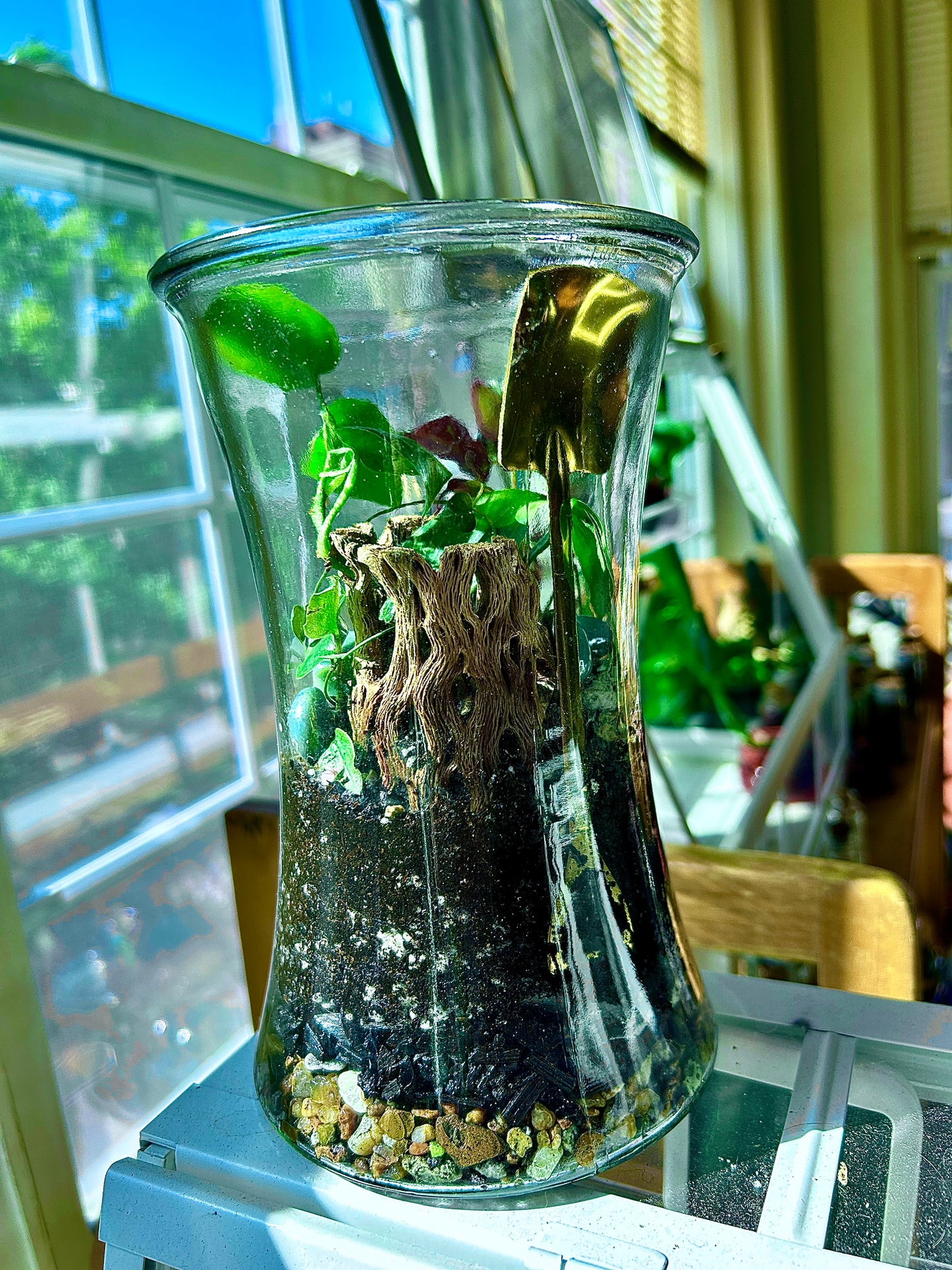 Handmade Open Terrarium | Large Hourglass | 'Buried Golden'