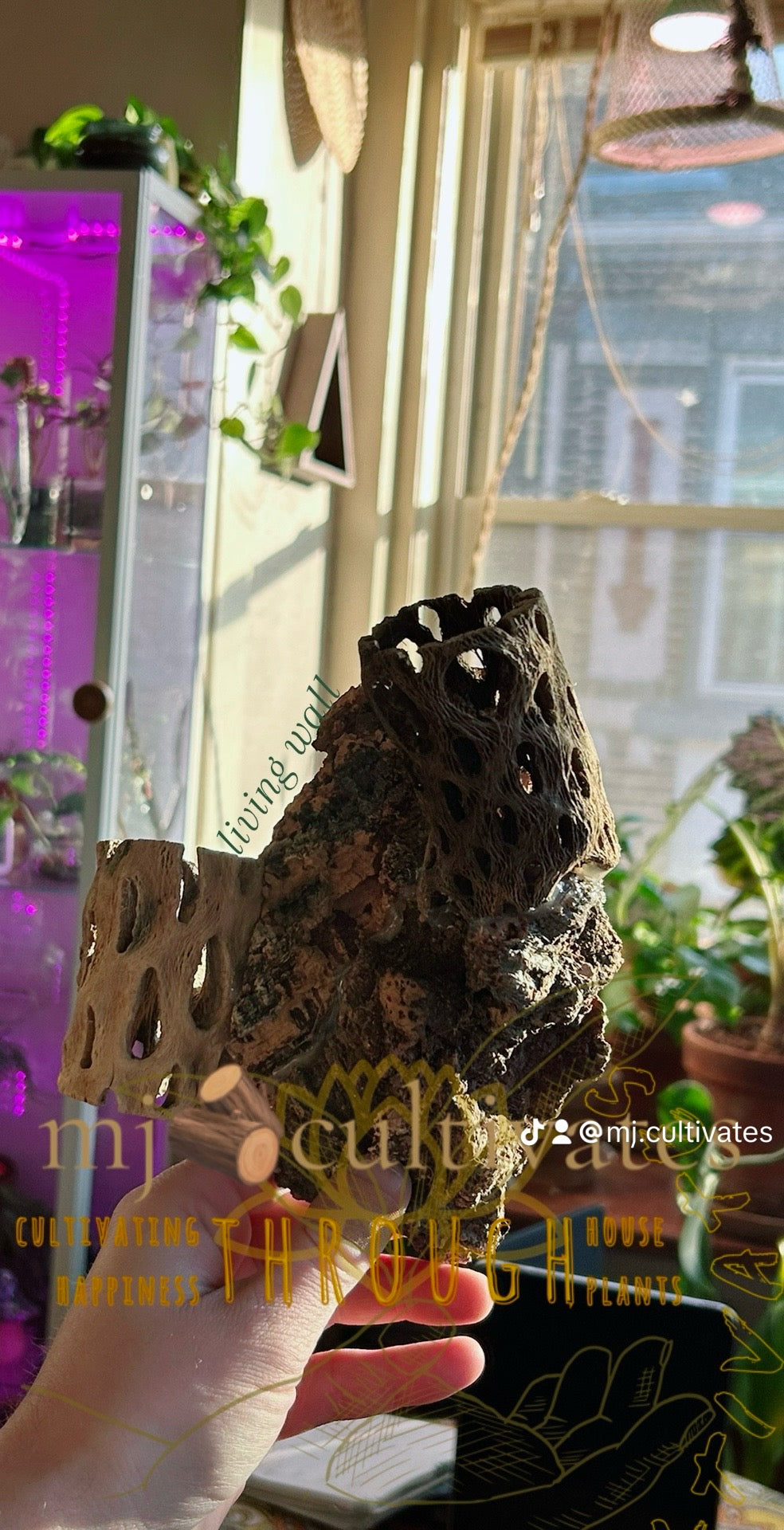 Handmade Living Display | Mountainside Collide