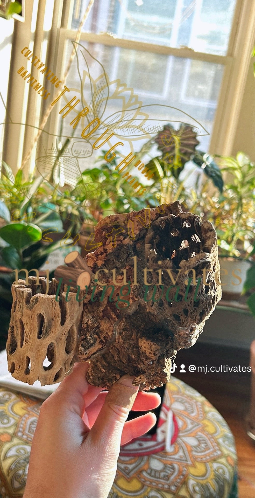 Handmade Living Display | Mountainside Collide