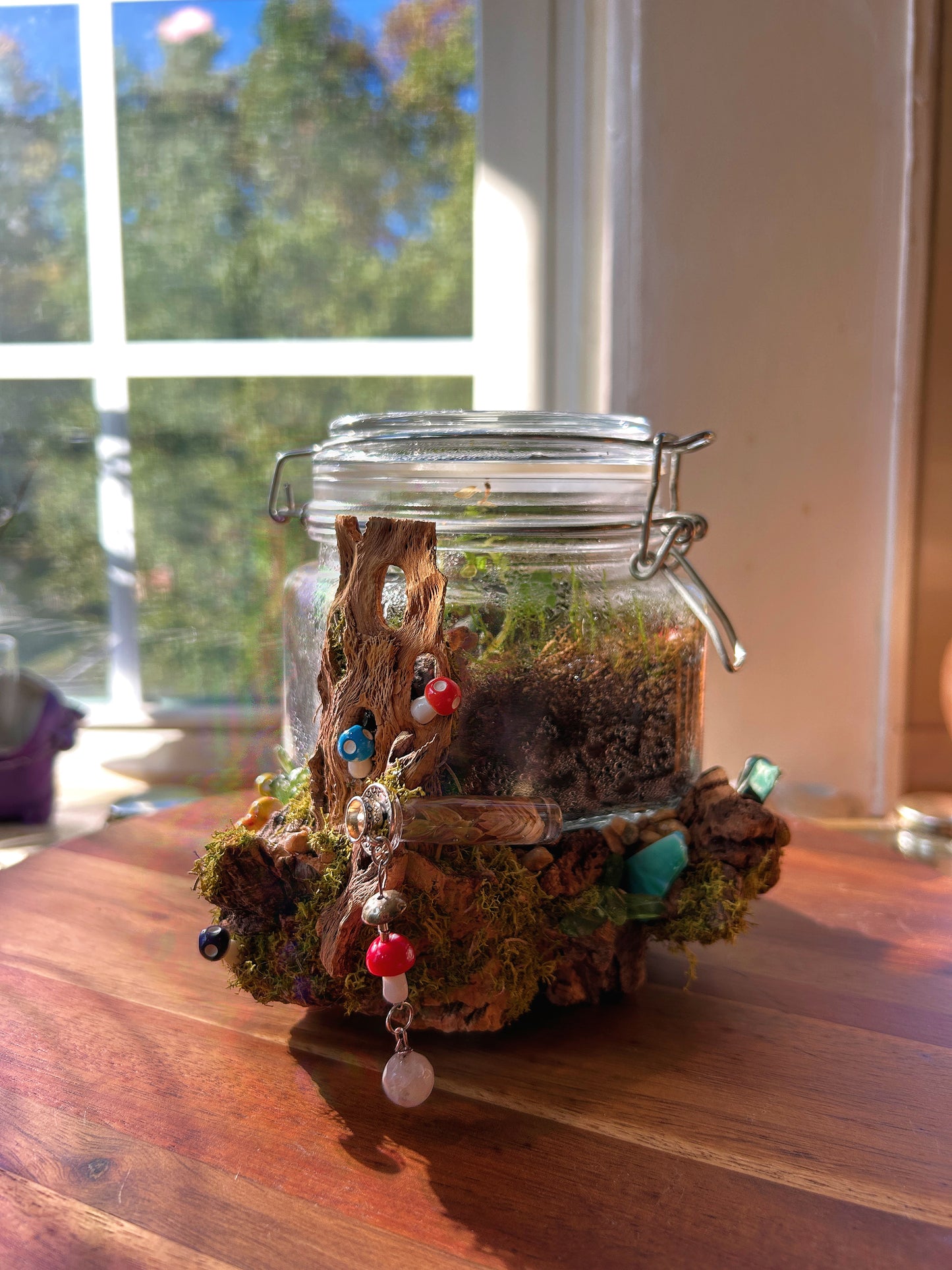 Handmade Closed Terrarium | Lock & Latch Jar | 'Into The Woodland’