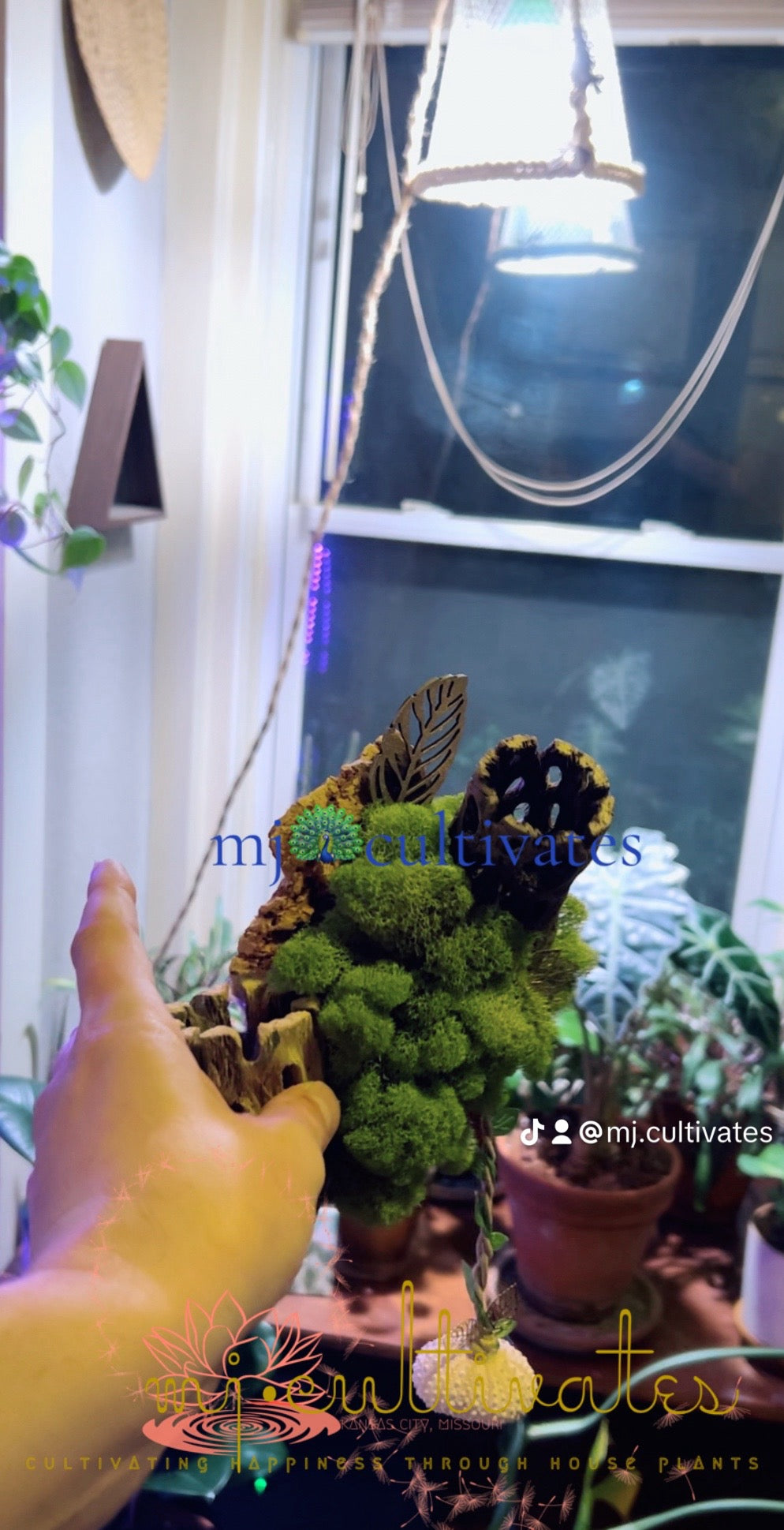 Handmade Living Display | Mountainside Collide