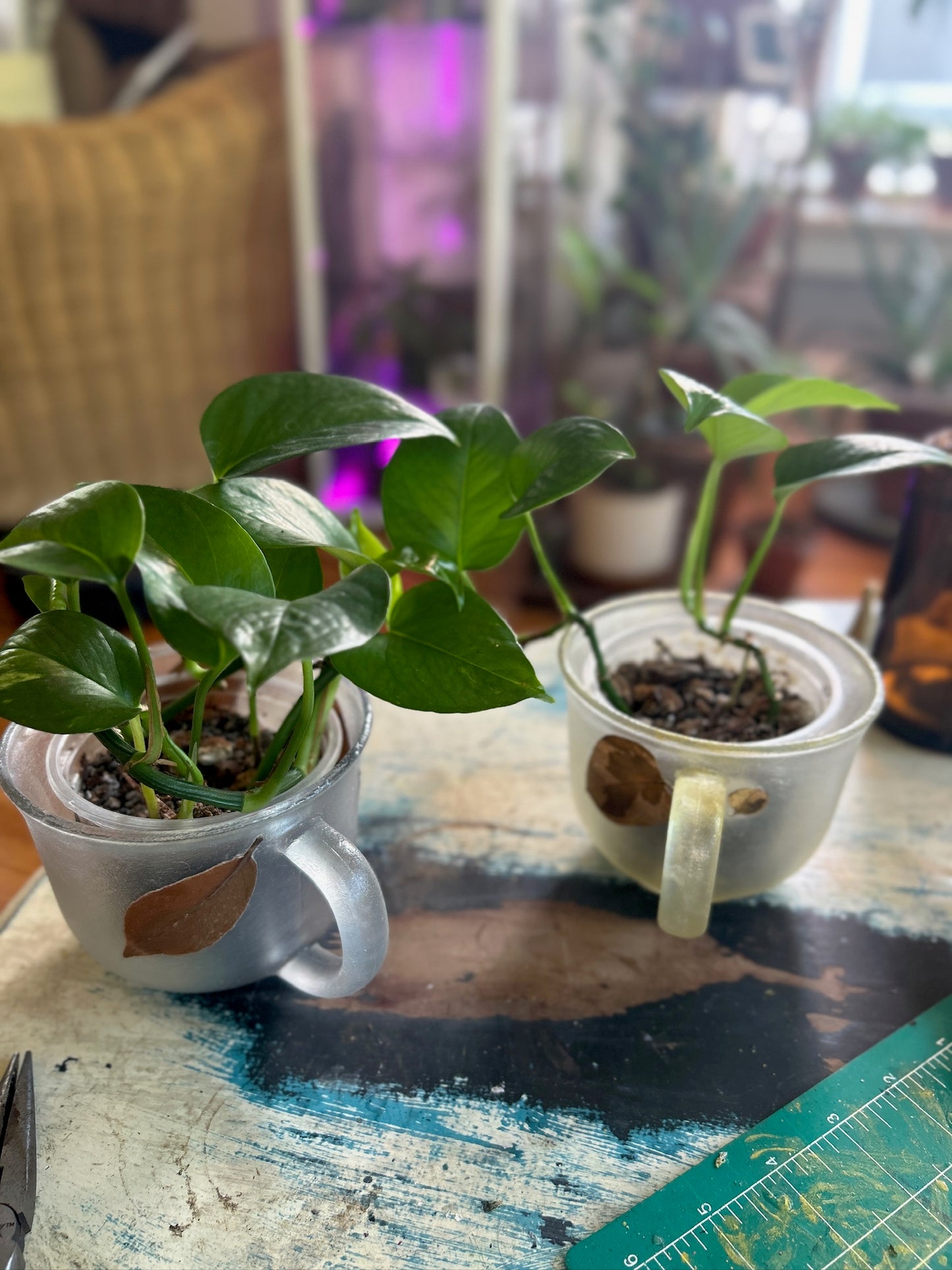 Handmade Pressed Foliage & Flower Mug Planter