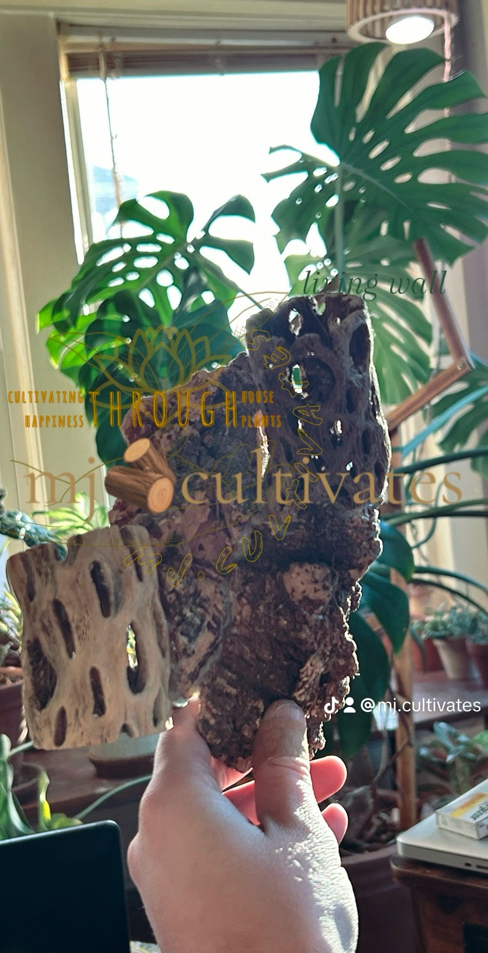 Handmade Living Display | Mountainside Collide