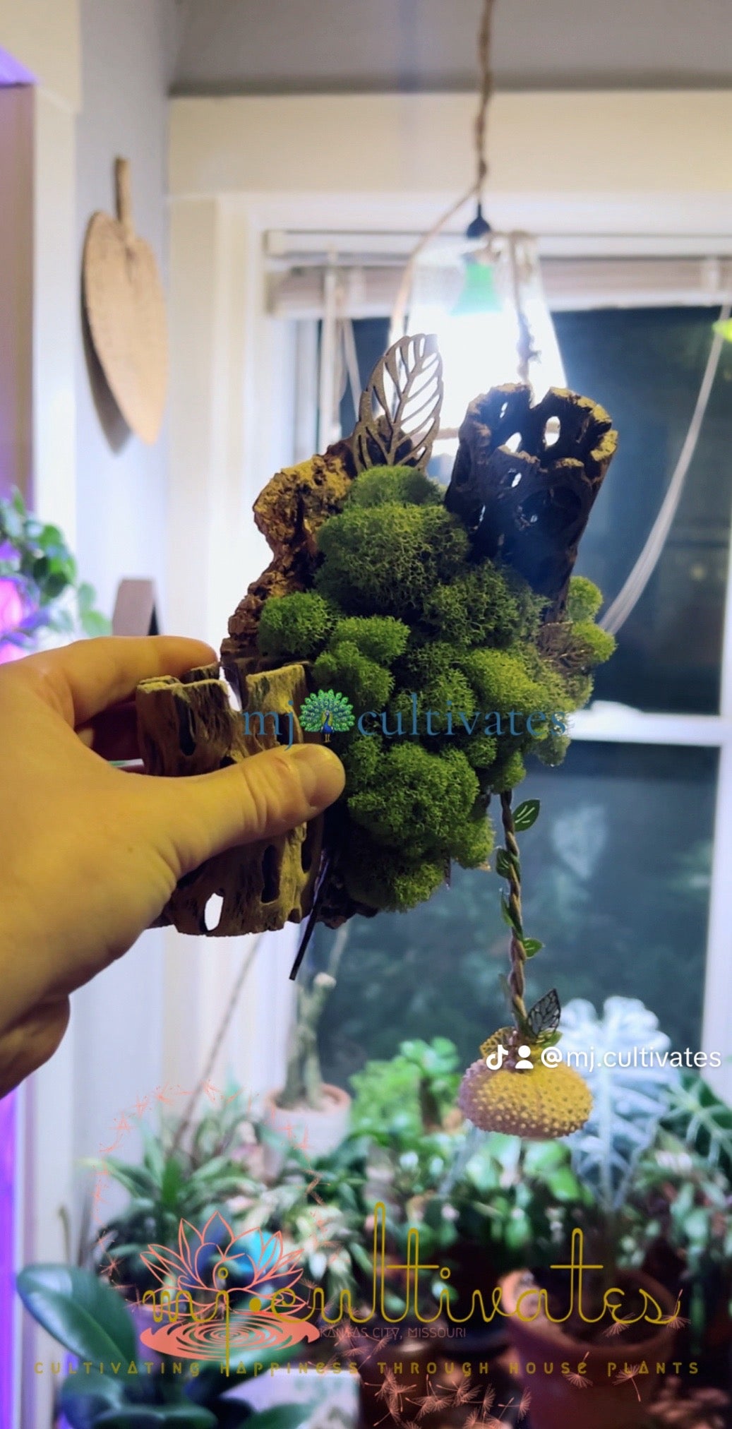 Handmade Living Display | Mountainside Collide