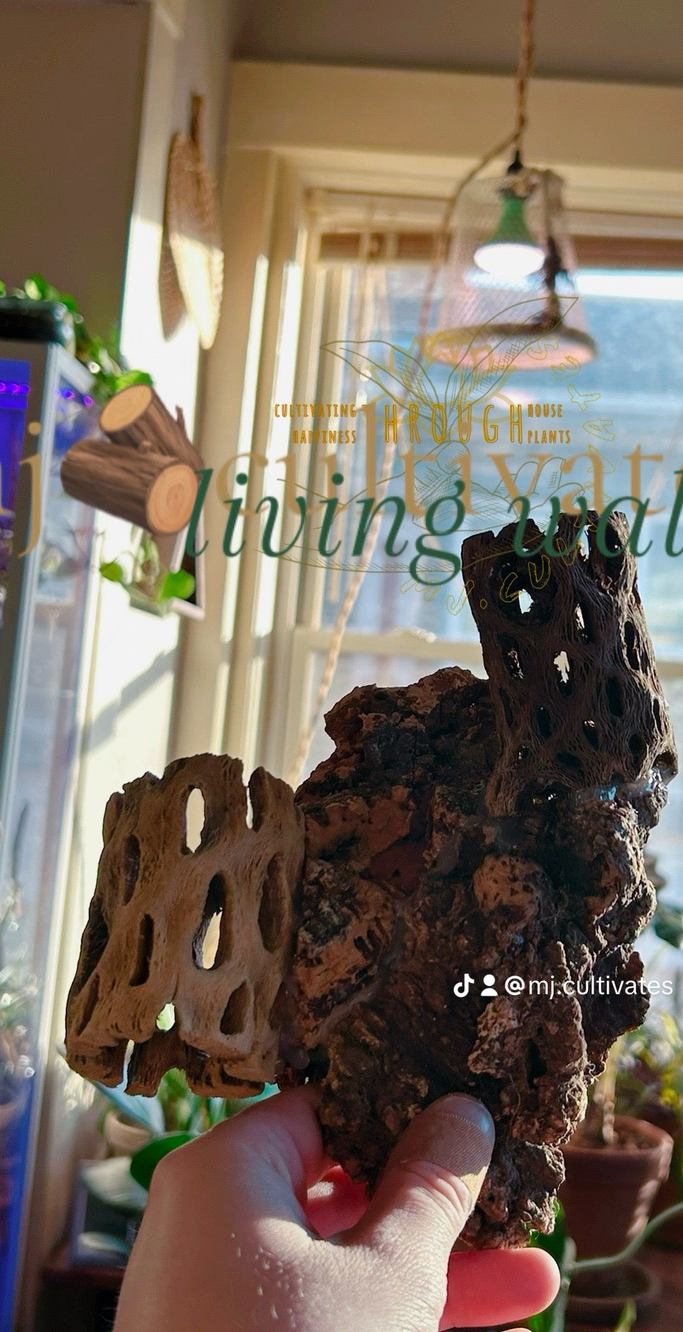 Handmade Living Display | Mountainside Collide