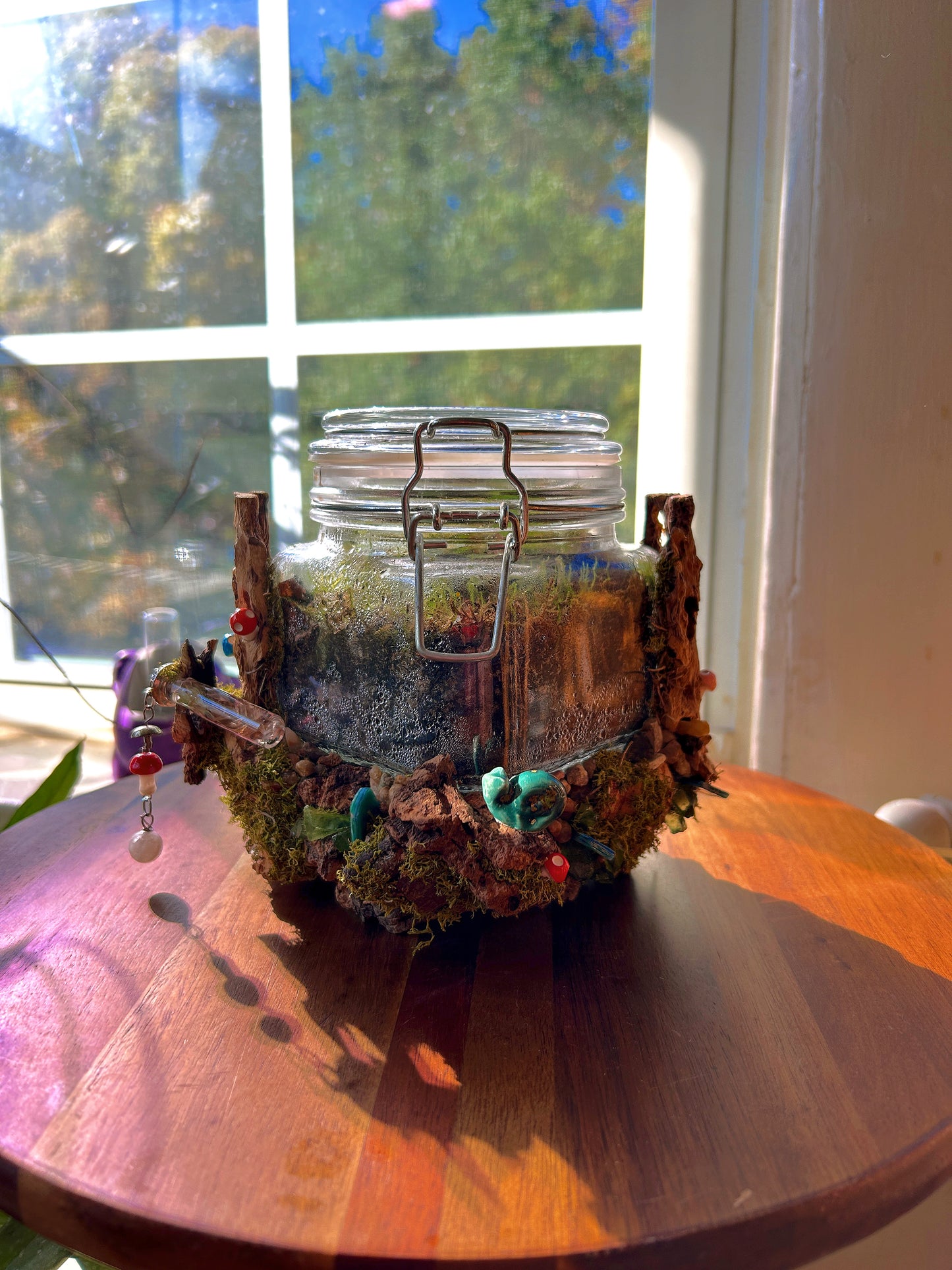 Handmade Closed Terrarium | Lock & Latch Jar | 'Into The Woodland’