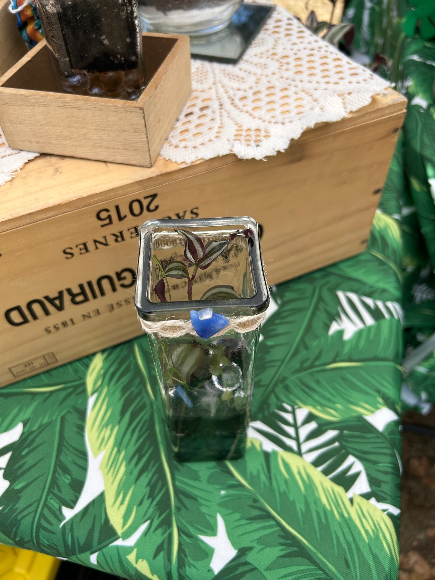 Handmade Slender & Square Open Terrarium | 'Cubed'