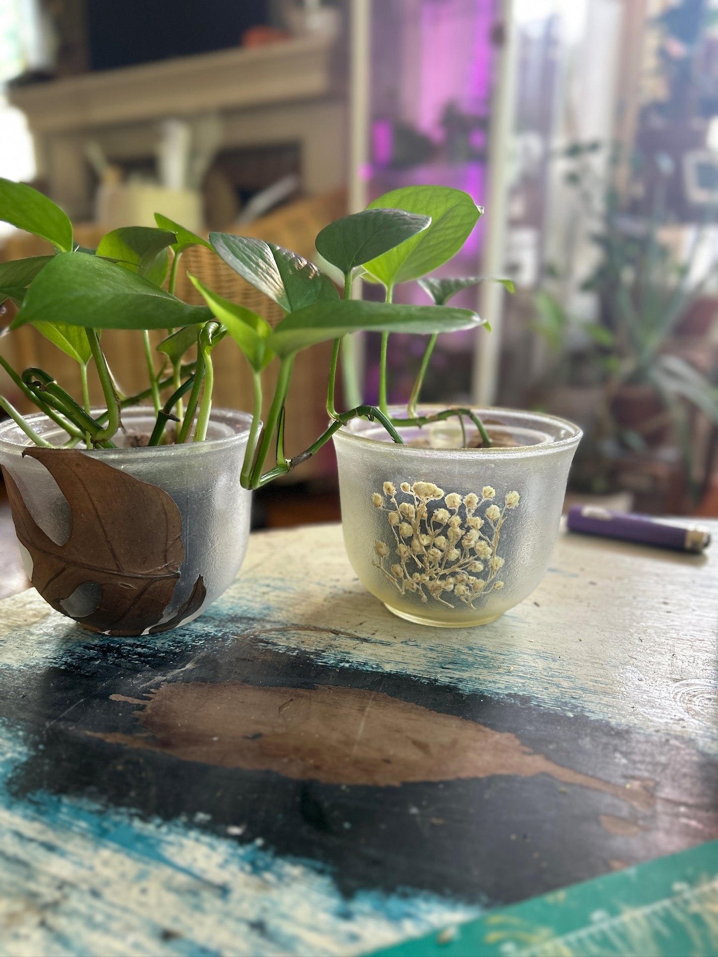 Handmade Pressed Foliage & Flower Mug Planter