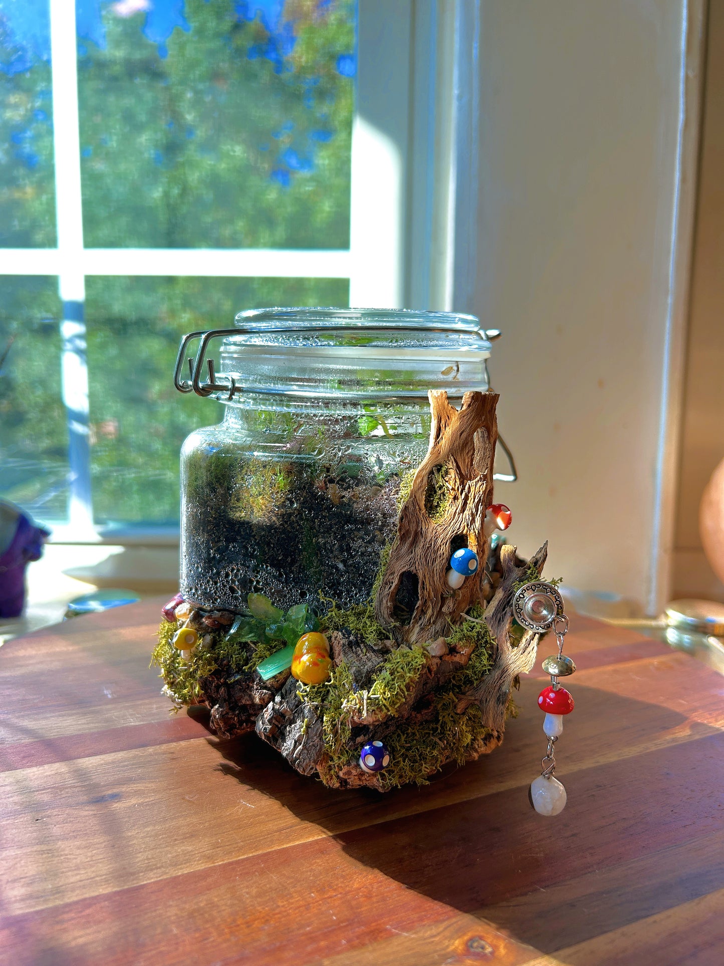 Handmade Closed Terrarium | Lock & Latch Jar | 'Into The Woodland’