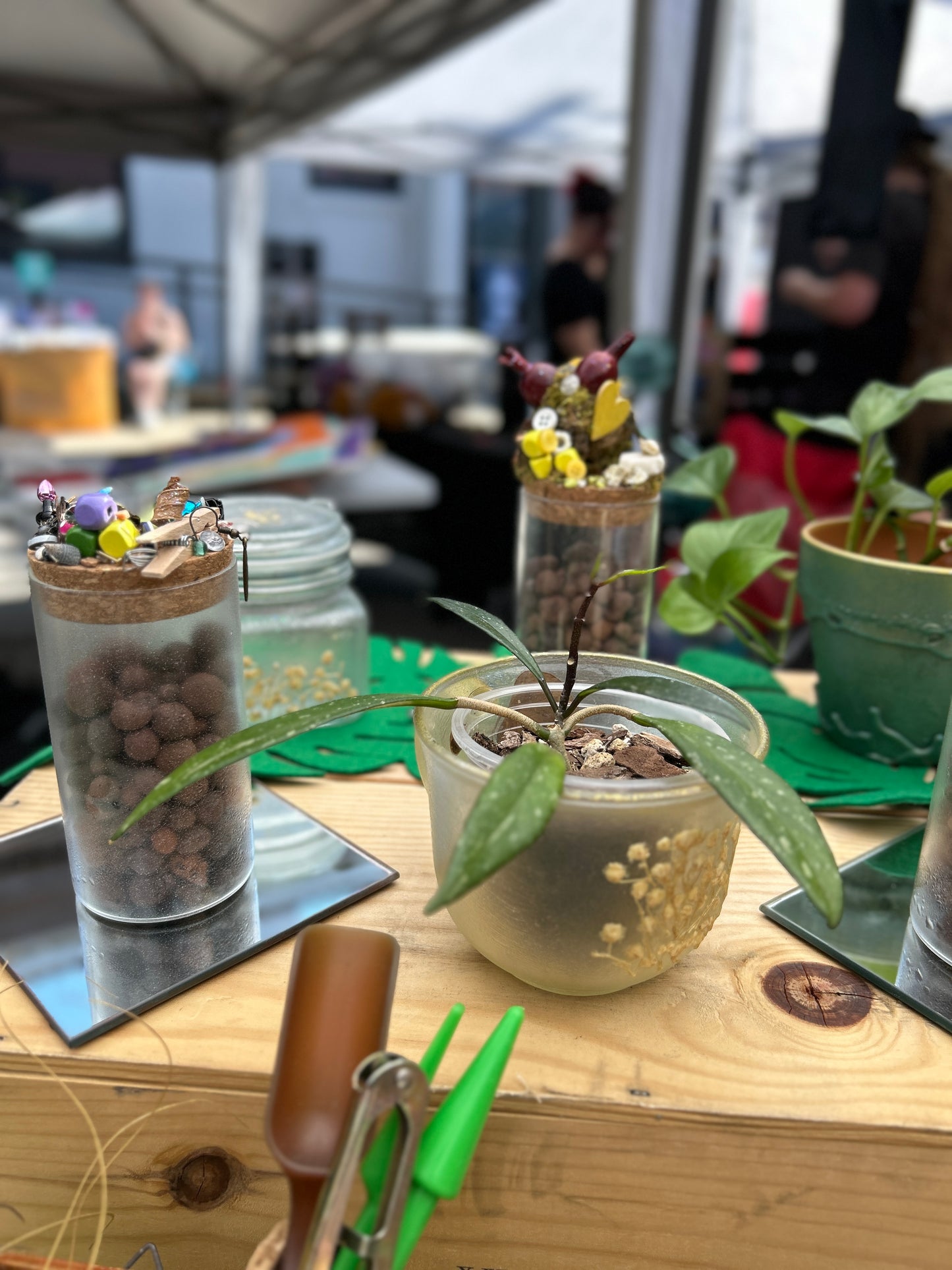 Handmade Plant Propagation Vial | Mother Knows Best | Propagation Kit Included