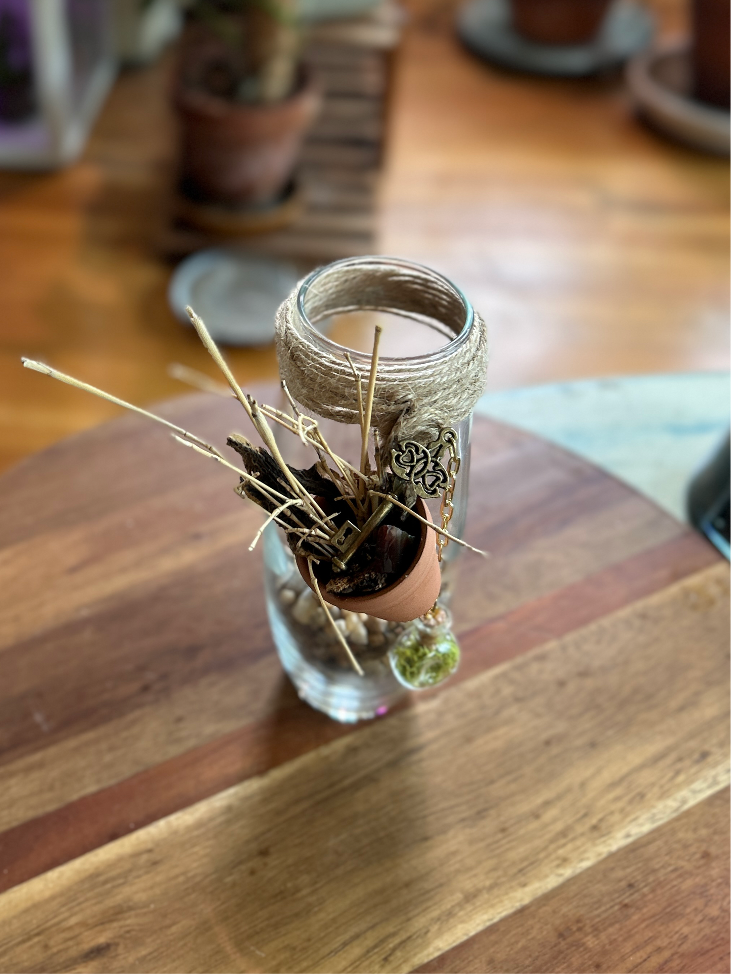 Handmade Champagne Flute Propagation Vial | “Daily Harvest”