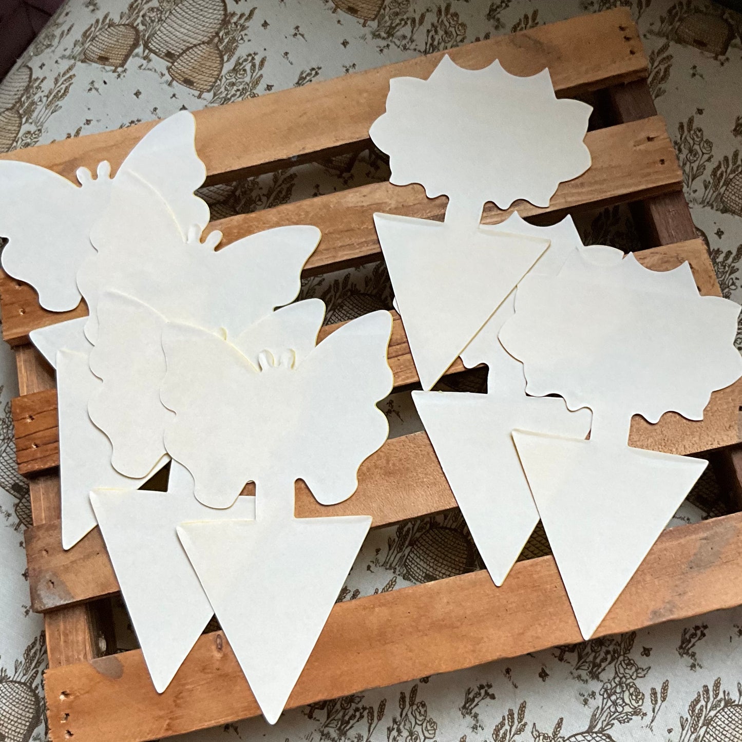 Sticky Traps (10 Pack)