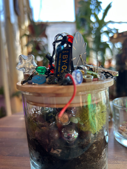 Handmade Closed Cylindrical Terrarium | ‘I Spy Vol. IV’