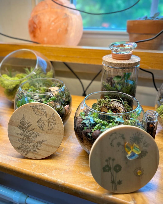 Handmade Closed Sphere Terrariums, gold embellished wooden lid, decorative, care kit included