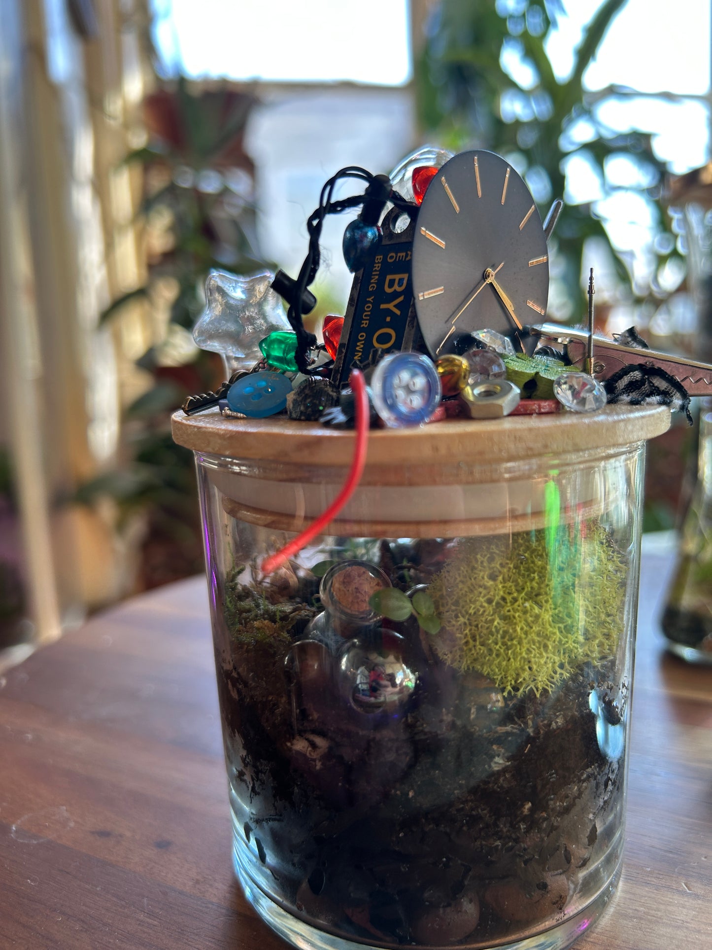 Handmade Closed Cylindrical Terrarium | ‘I Spy Vol. IV’