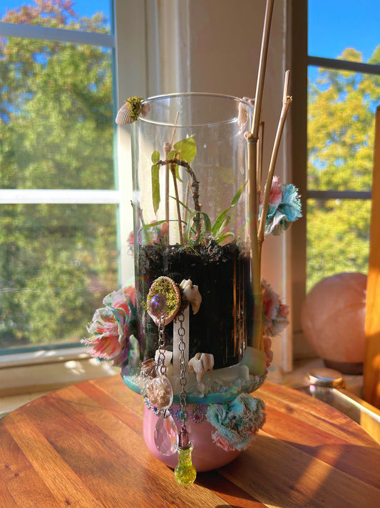 Handmade Open Terrarium | ‘Mademoiselle’