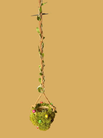 Pygmy Potted House Plant Hanger