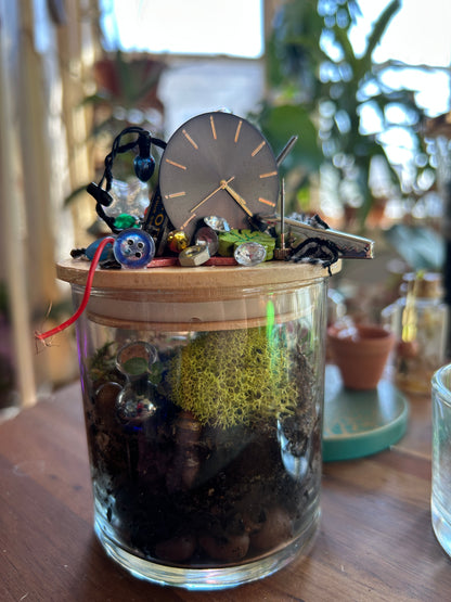 Handmade Closed Cylindrical Terrarium | ‘I Spy Vol. IV’