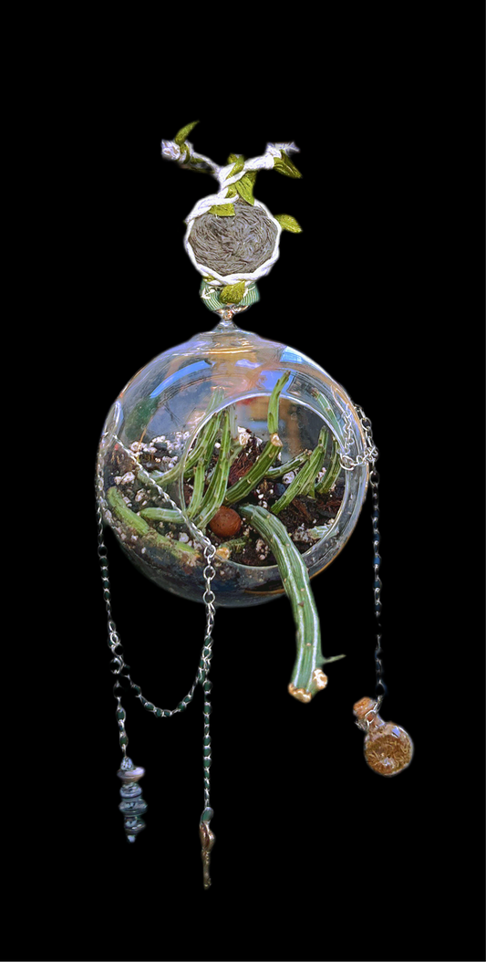 Handmade Hanging Succulent Sphere | ‘Chained Chances’