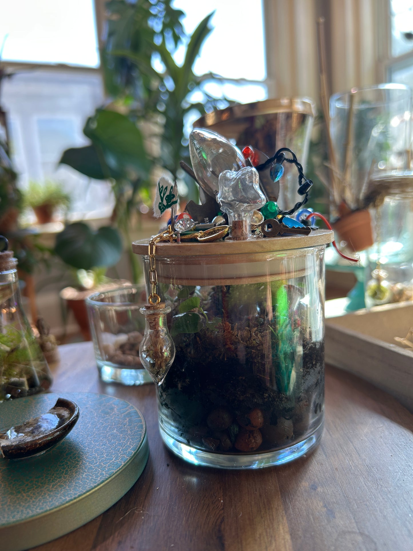 Handmade Closed Cylindrical Terrarium | ‘I Spy Vol. IV’