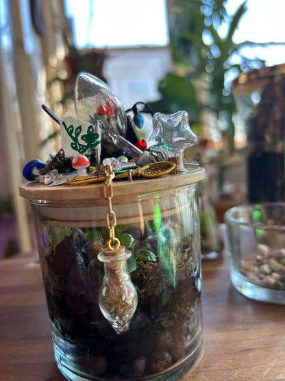 Handmade Closed Cylindrical Terrarium | ‘I Spy Vol. IV’