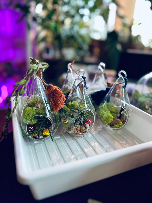 Handmade Teardrop Terrariums