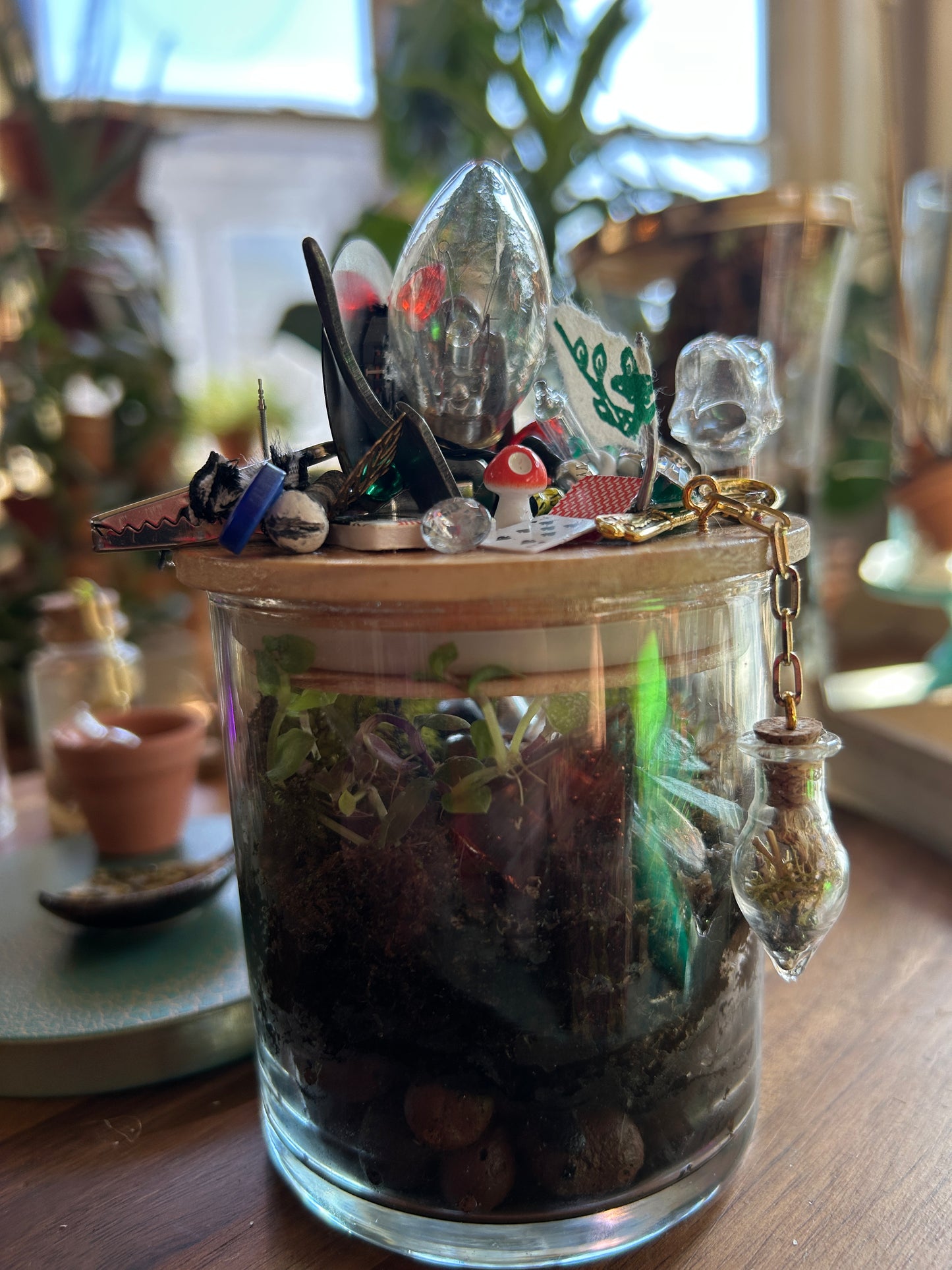 Handmade Closed Cylindrical Terrarium | ‘I Spy Vol. IV’