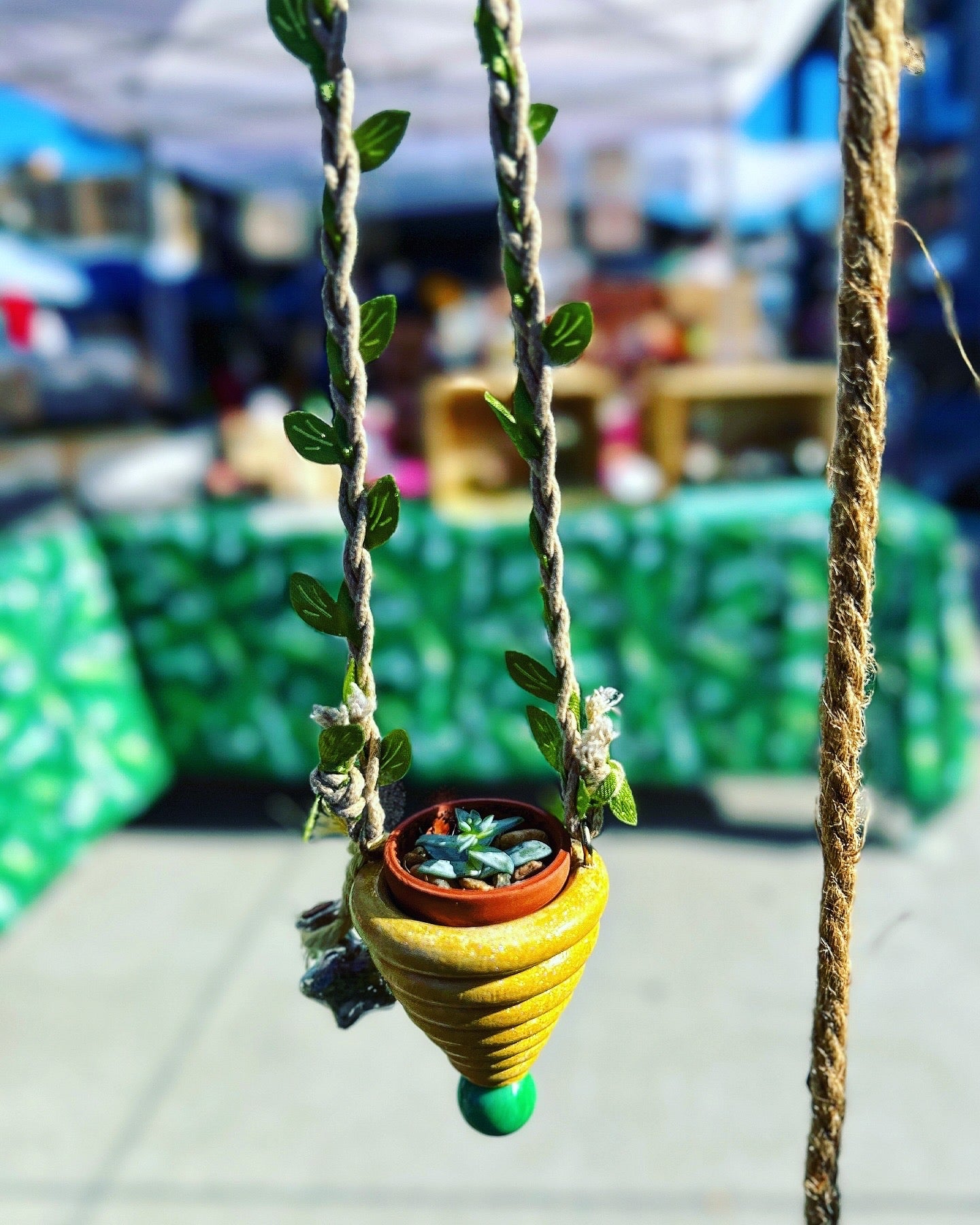 Pygmy Potted House Plant Hanger