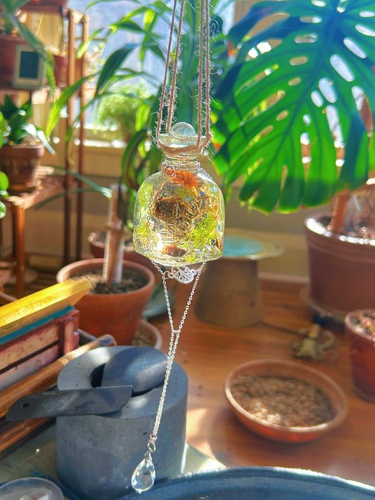 Handmade Hanging Herbarium Sun Catcher | ‘Swallowed Sunlight’