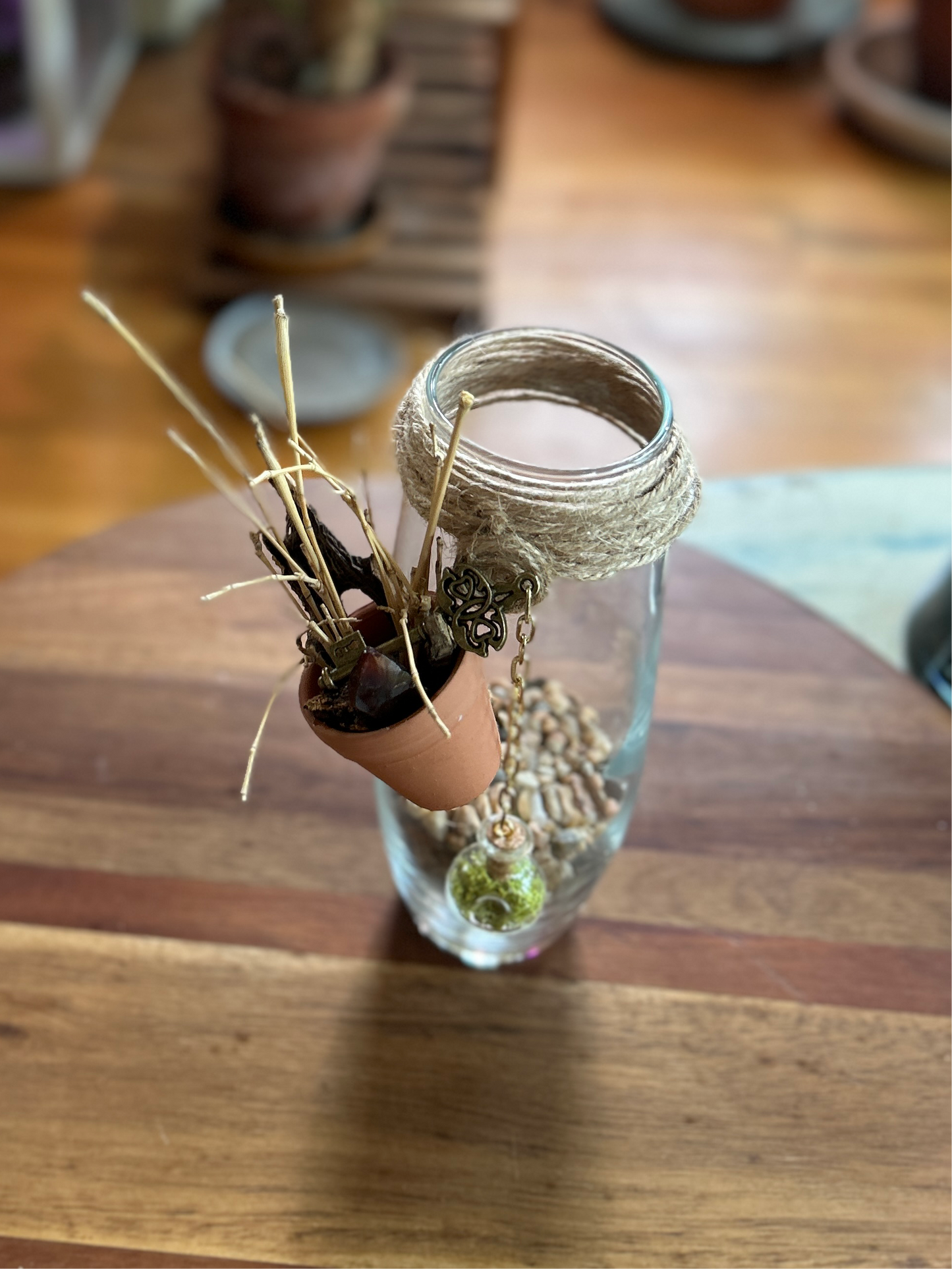 Champagne Flute Propagation Vial | “Daily Harvest”